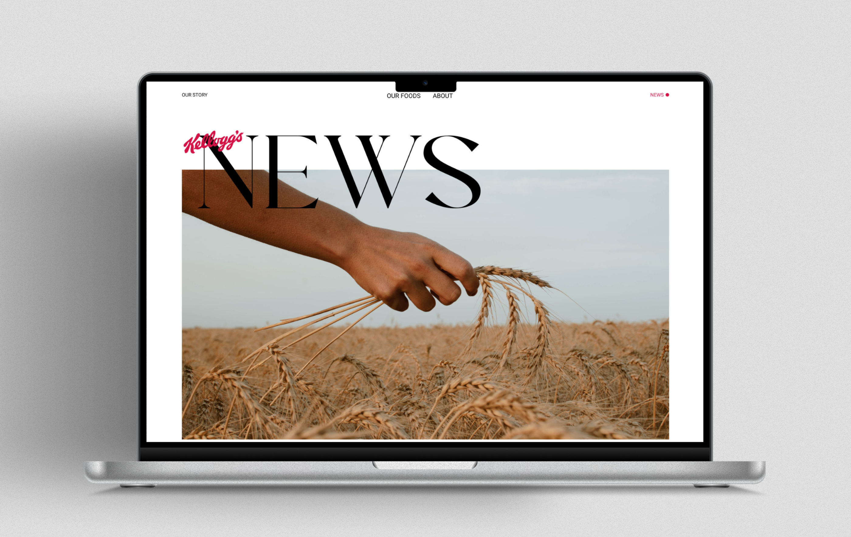 Redesign - company Kellogg's — Изображение №3 — Интерфейсы на Dprofile