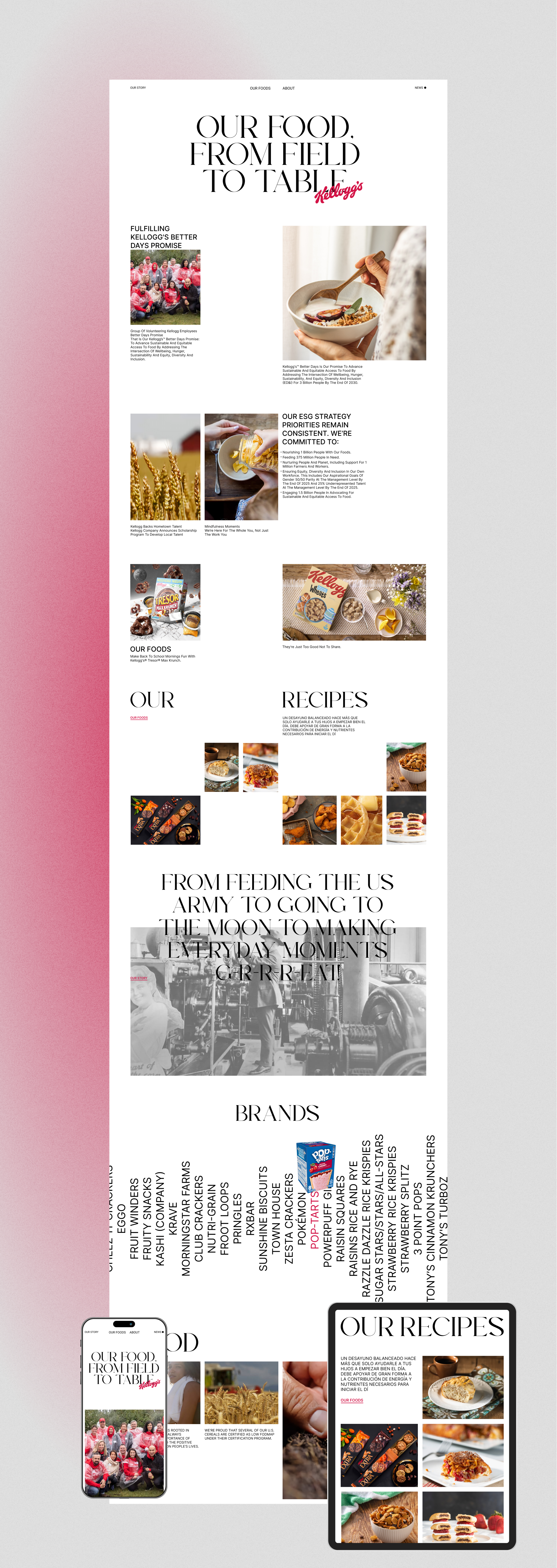 Redesign - company Kellogg's — Изображение №6 — Интерфейсы на Dprofile