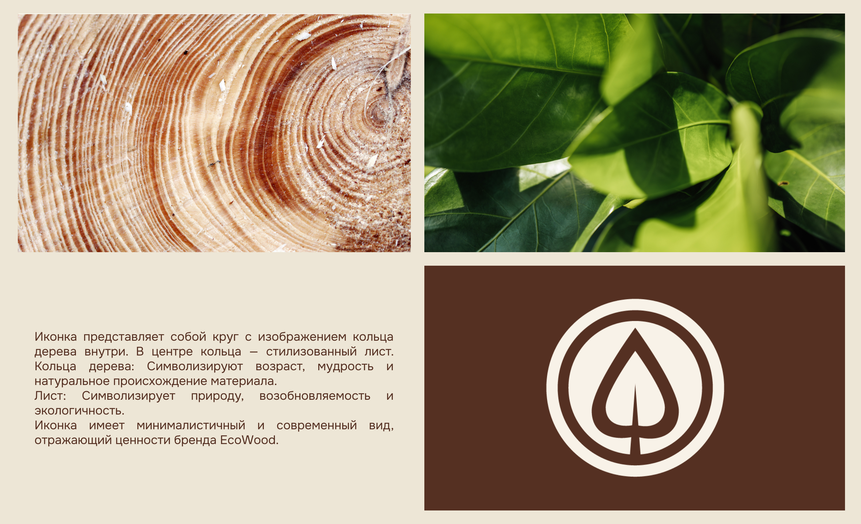 EcoWood — Изображение №5 — Брендинг на Dprofile
