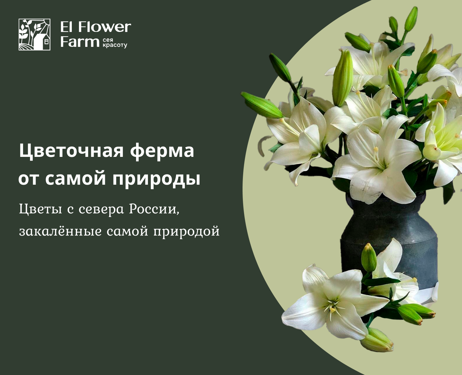 Дизайн цветочной фермы — Графика, Маркетинг на Dprofile