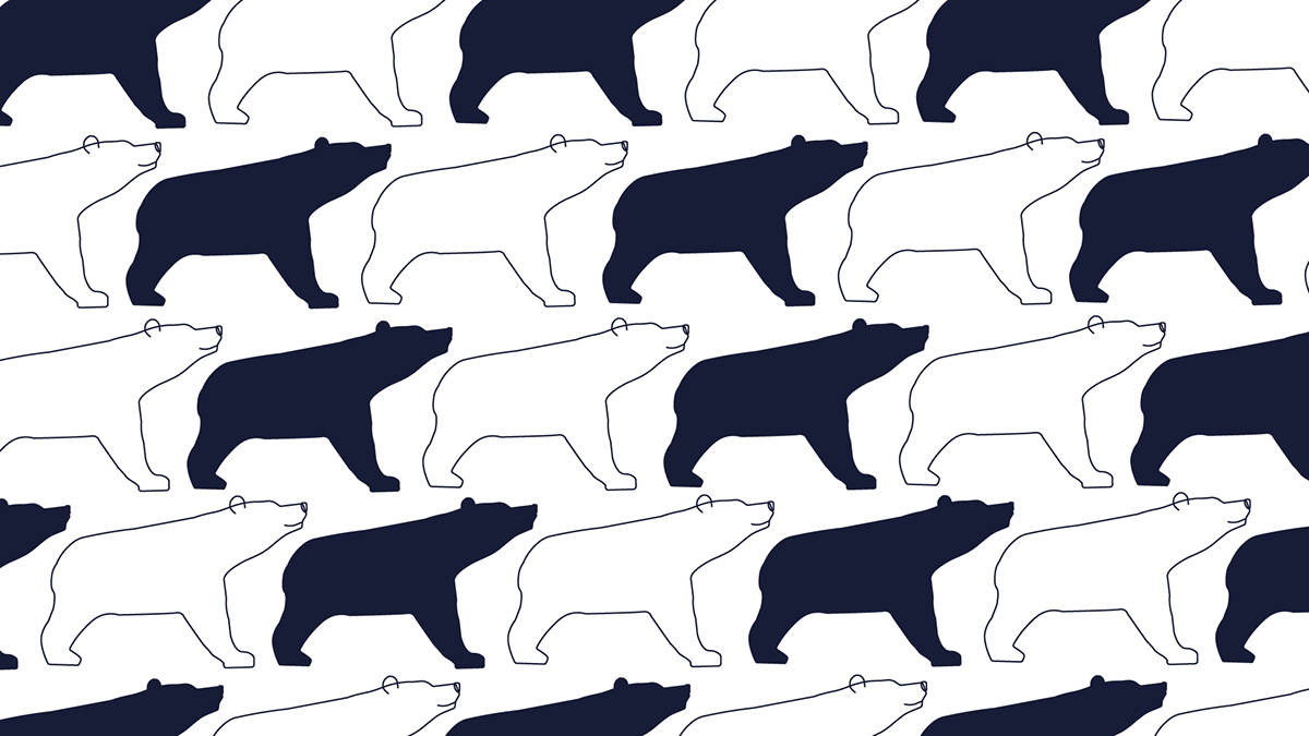 THE NORD WIND clothing store — Изображение №5 — Брендинг на Dprofile