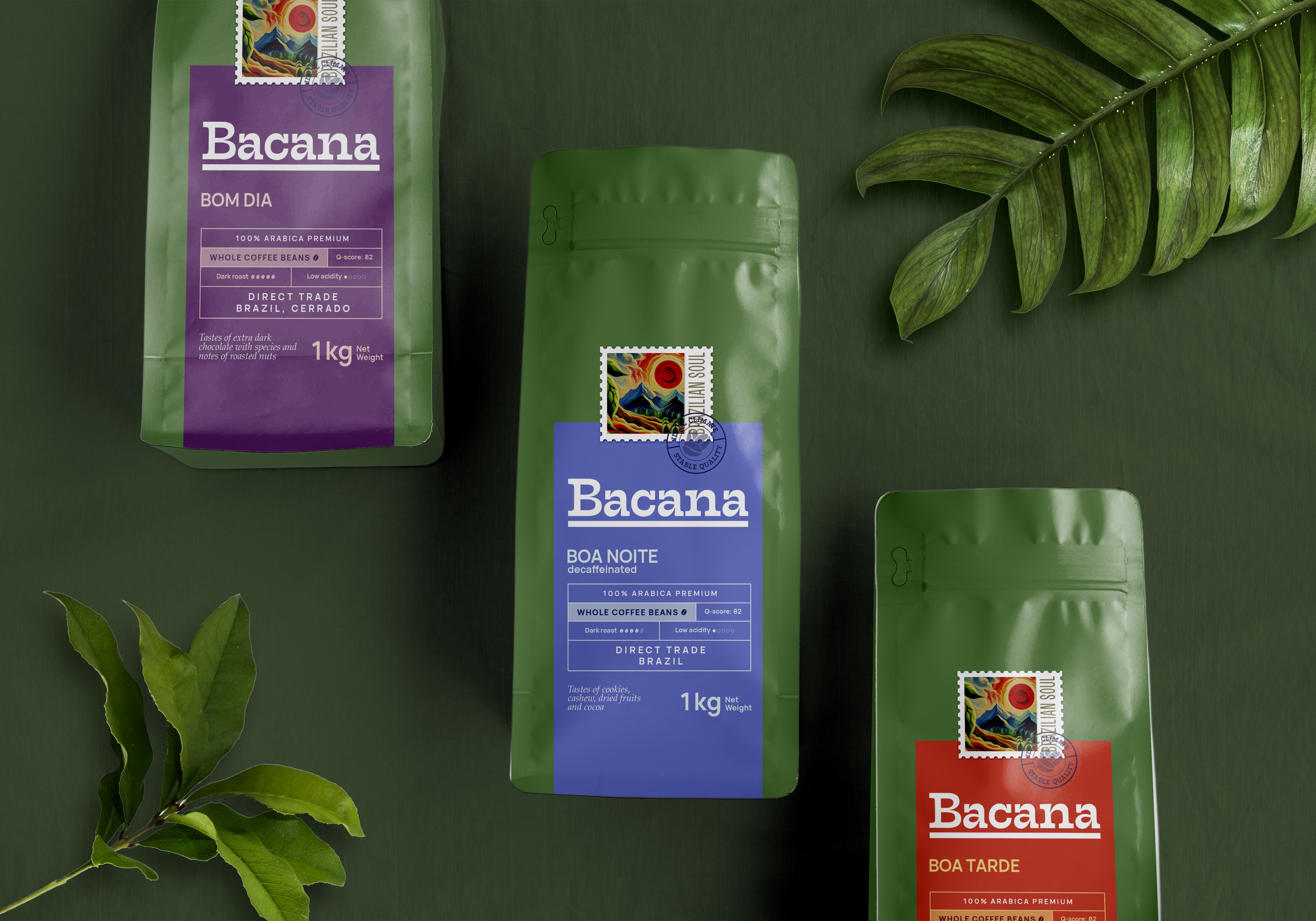 Разработка дизайна упаковки для бренда кофе BACANA — Изображение №4 — Брендинг на Dprofile