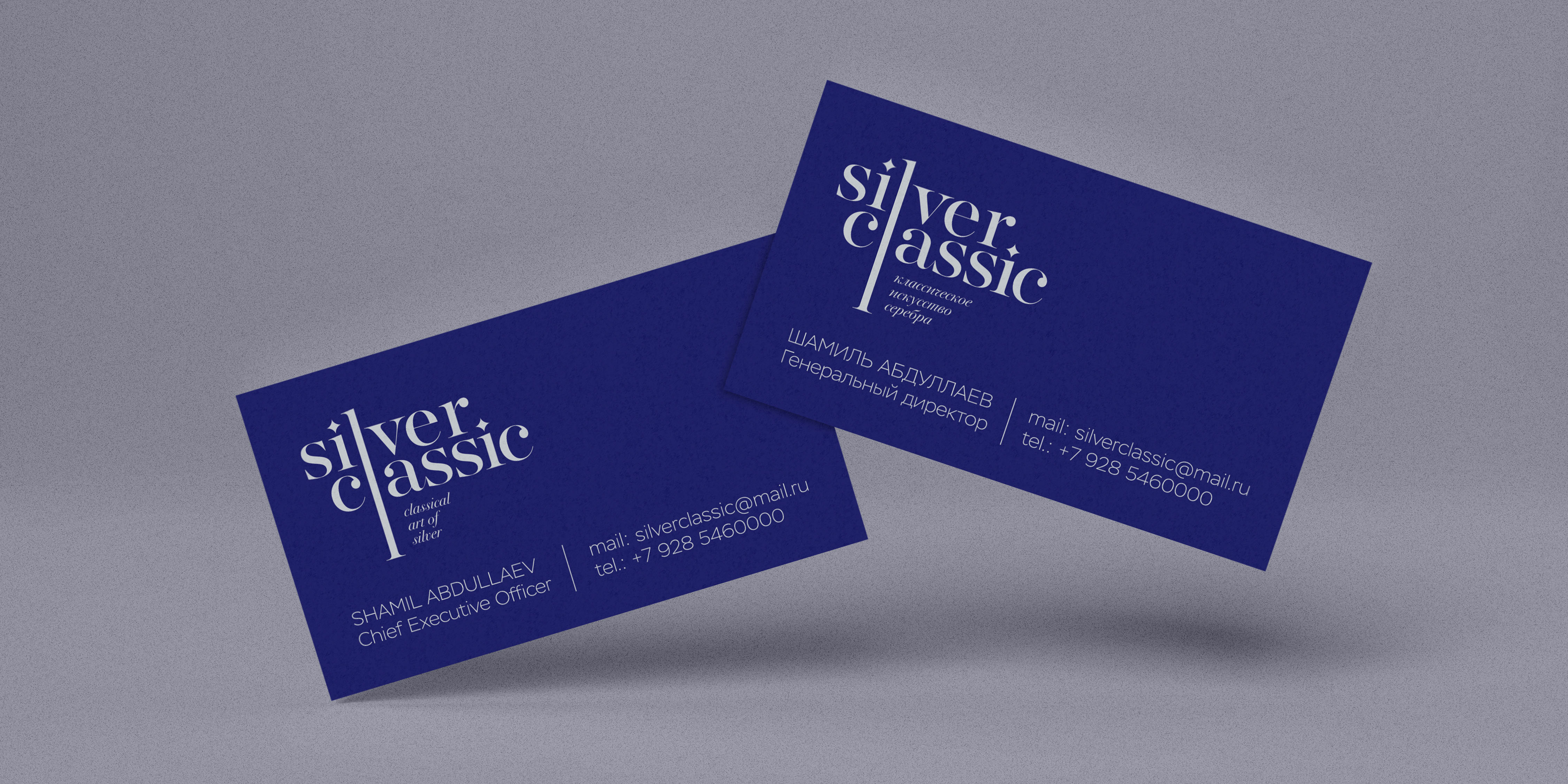 Silver Classic. Айдентика и дизайн ювелирных украшений. — Изображение №6 — Брендинг на Dprofile