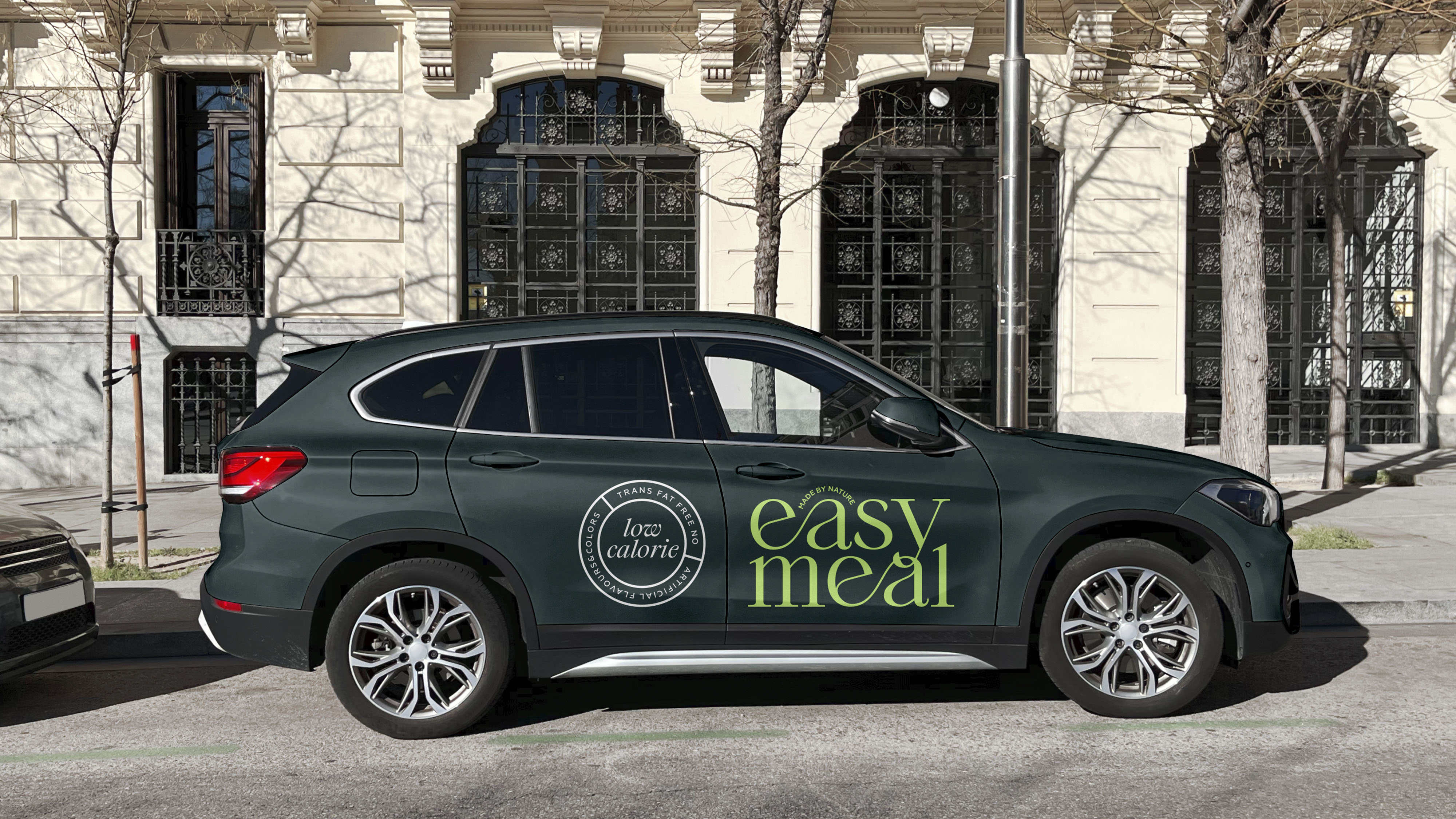 Бренд здорового питания EASY MEAL — Изображение №9 — Брендинг на Dprofile