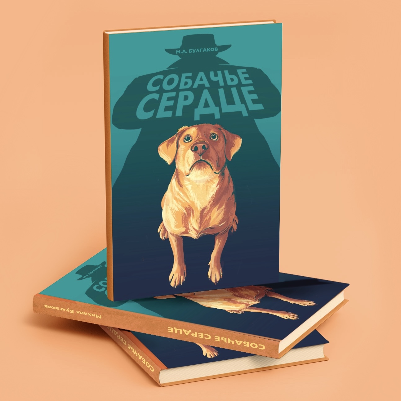 Book cover illustration for "A Dog's Heart" novel — Изображение №3 — Иллюстрация, Графика на Dprofile