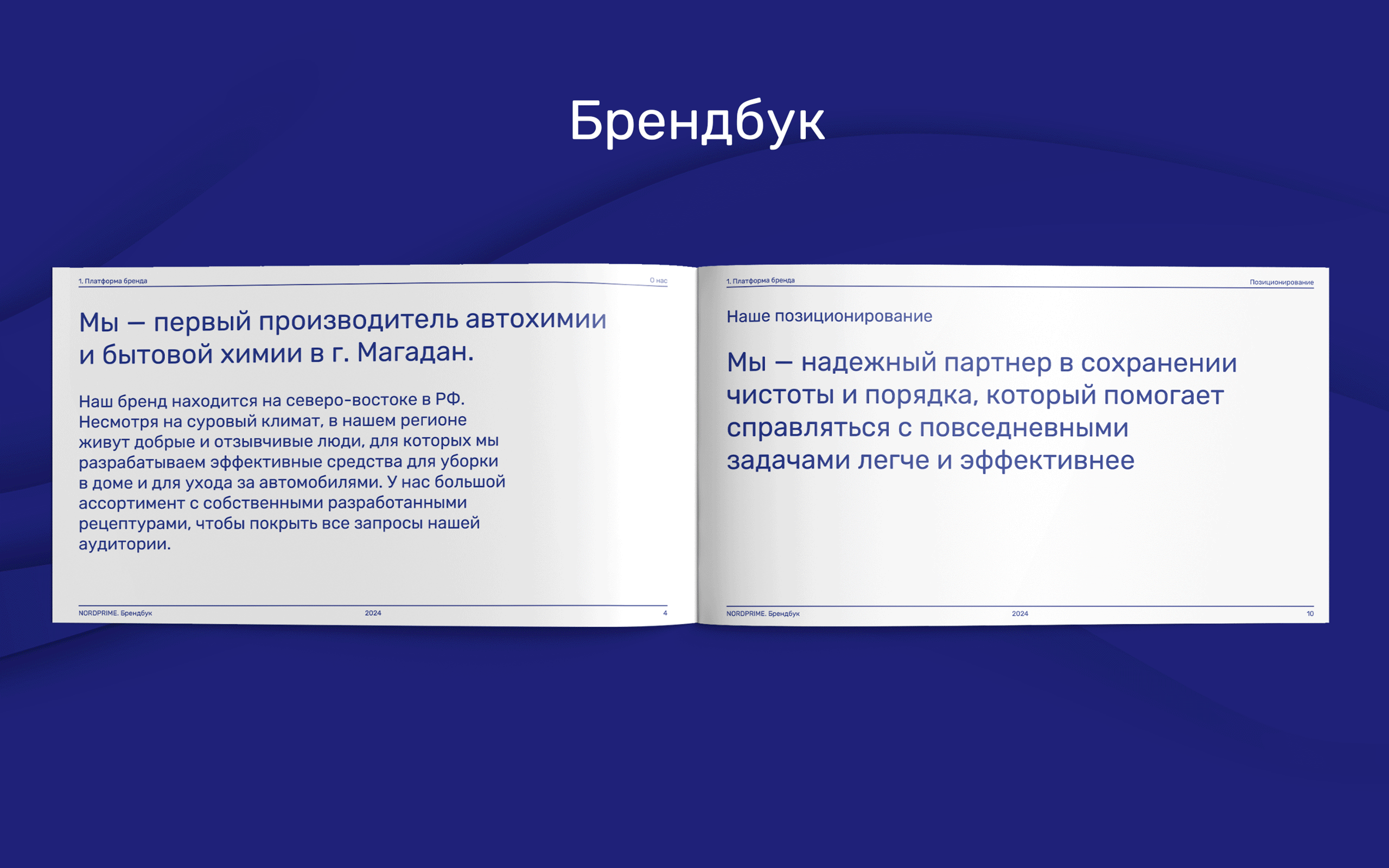бренд бытовой химии | упаковка порошка | fmcg брендинг — Изображение №3 — Брендинг на Dprofile