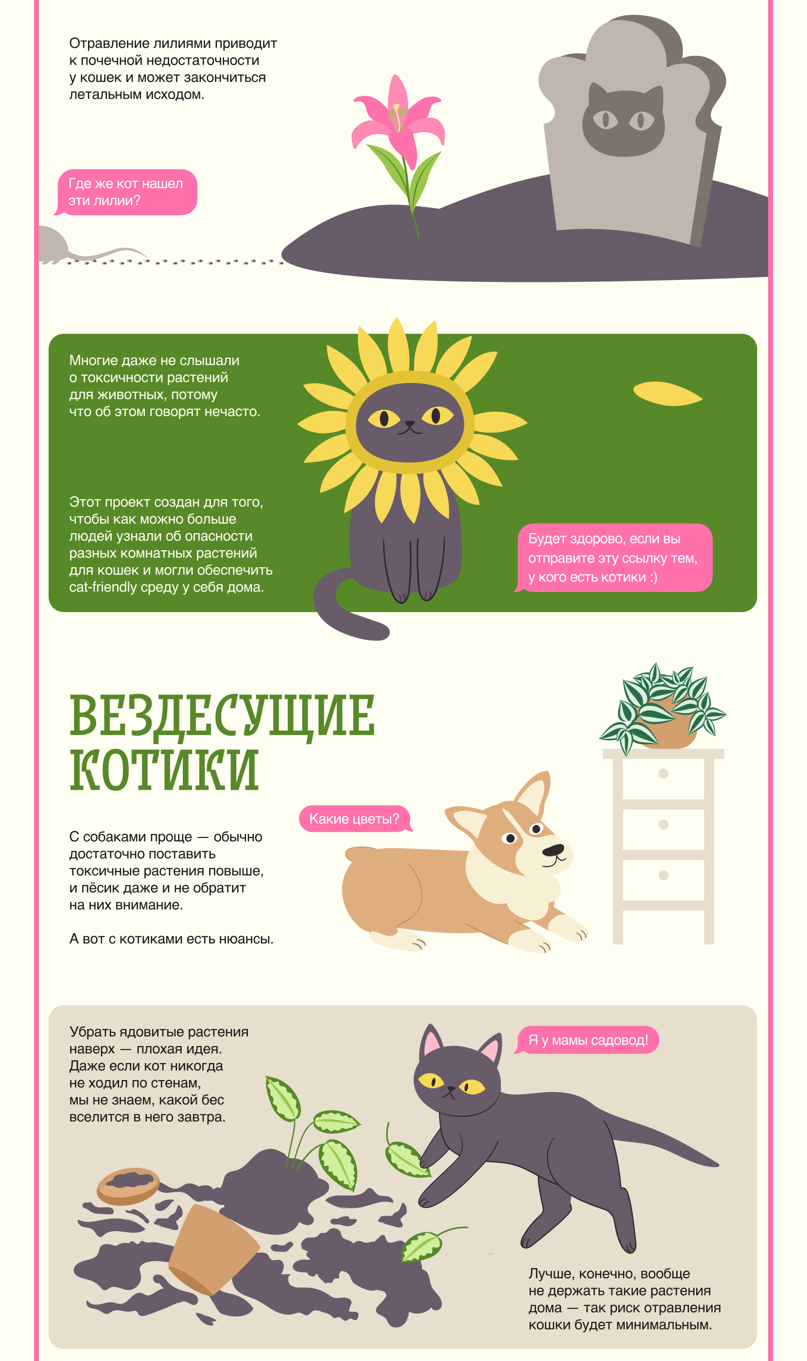 Cats&Plants / Ресурс для тех, у кого есть котики — Изображение №6 — Интерфейсы, Иллюстрация на Dprofile