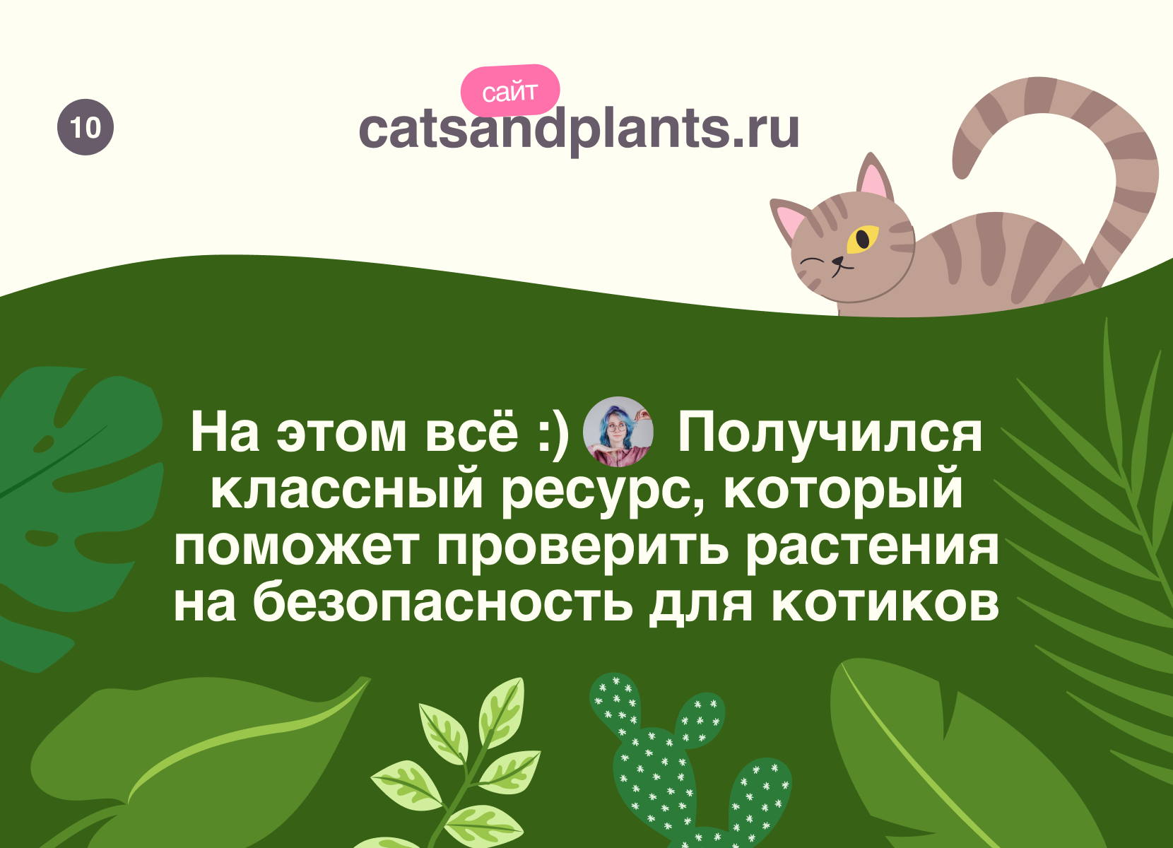 Cats&Plants / Ресурс для тех, у кого есть котики — Изображение №9 — Интерфейсы, Иллюстрация на Dprofile