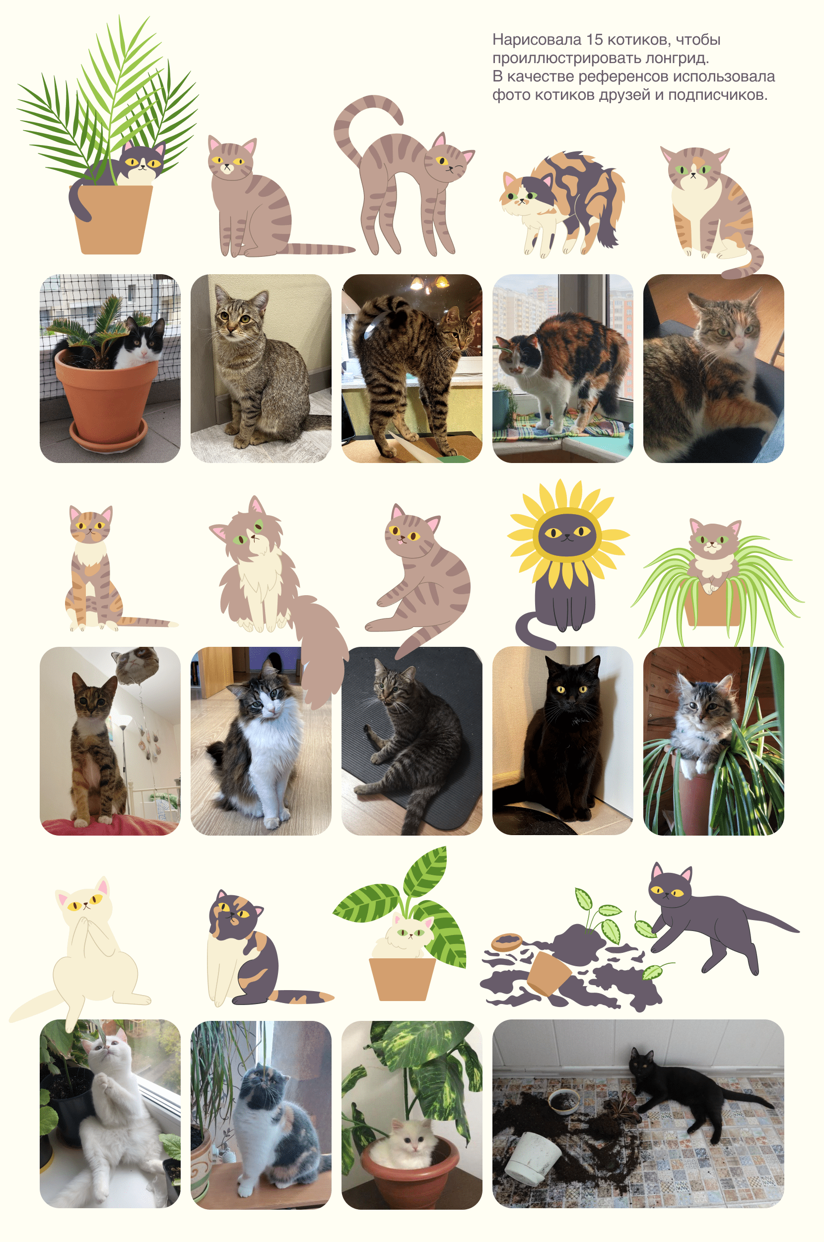 Cats&Plants / Ресурс для тех, у кого есть котики — Изображение №4 — Интерфейсы, Иллюстрация на Dprofile
