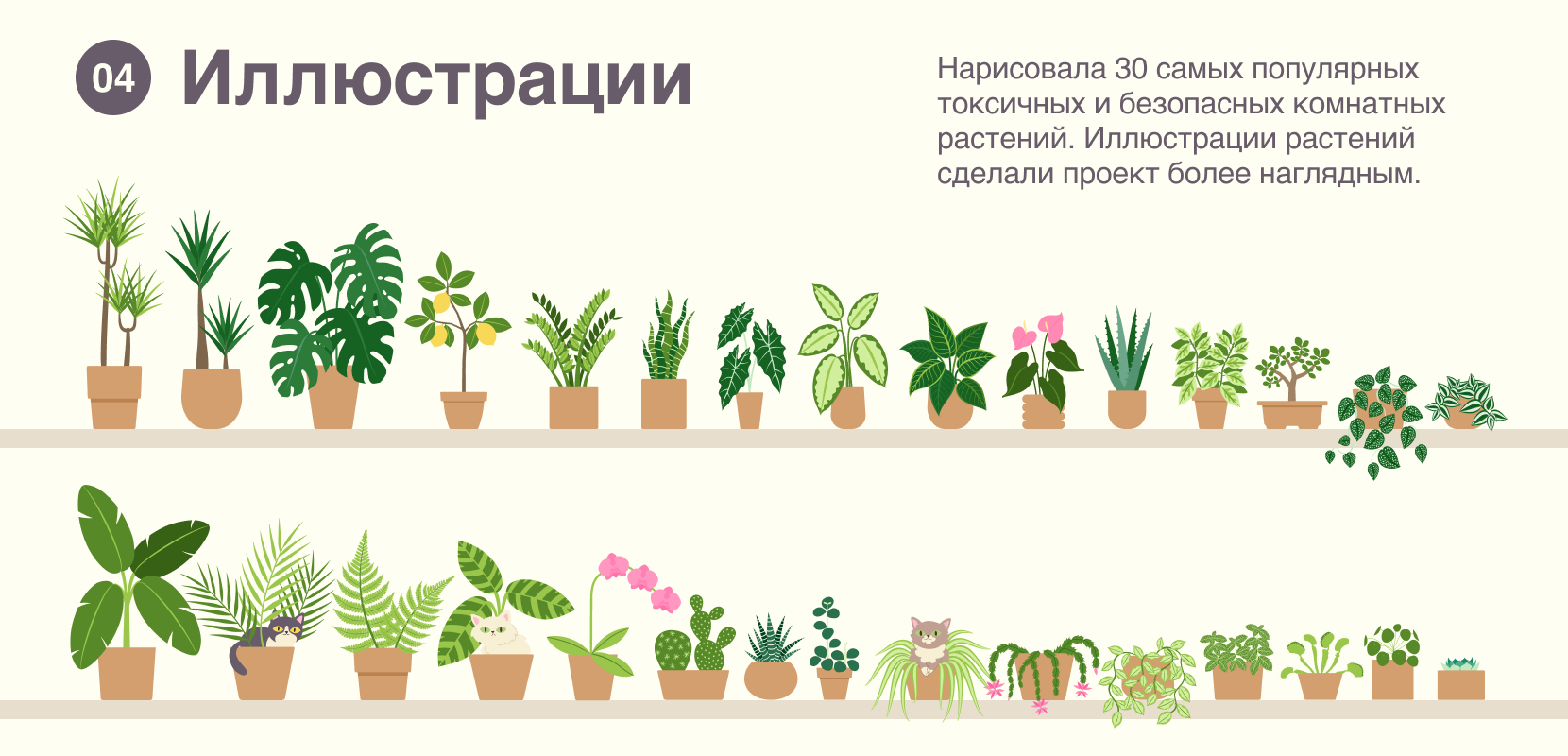 Cats&Plants / Ресурс для тех, у кого есть котики — Изображение №3 — Интерфейсы, Иллюстрация на Dprofile
