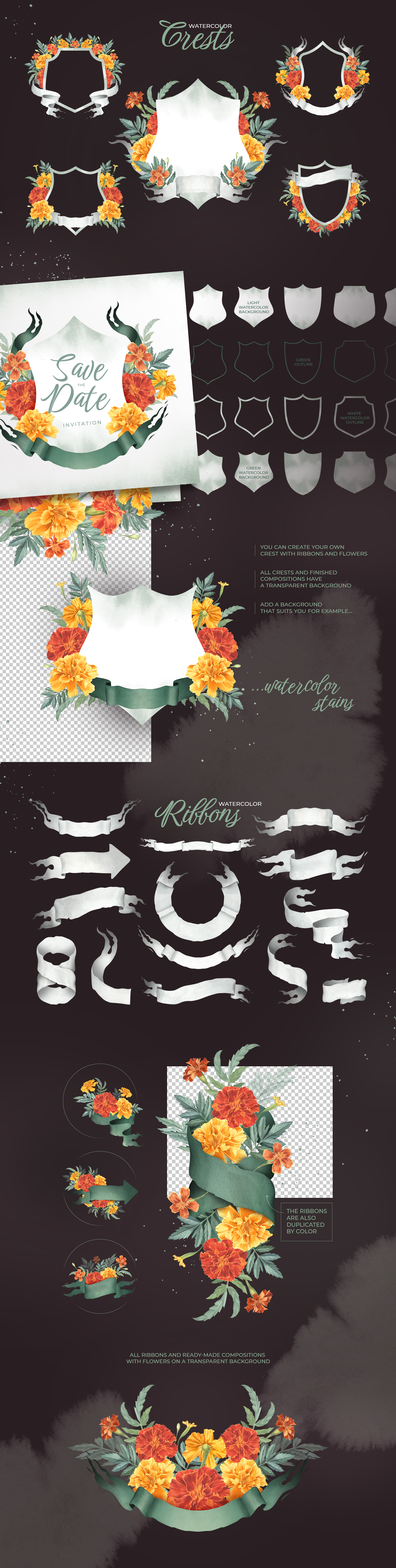 Marigold, watercolor flowers — Изображение №6 — Иллюстрация, Графика на Dprofile