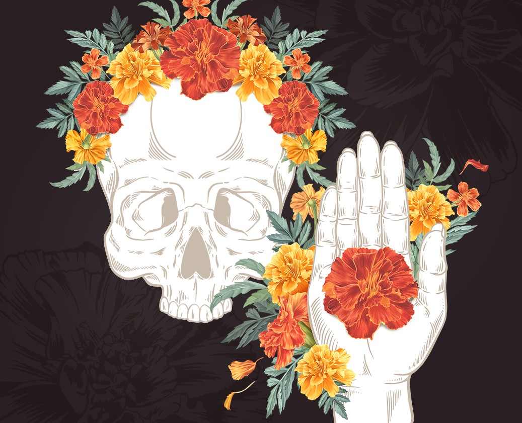 Marigold, watercolor flowers — Иллюстрация, Графика на Dprofile