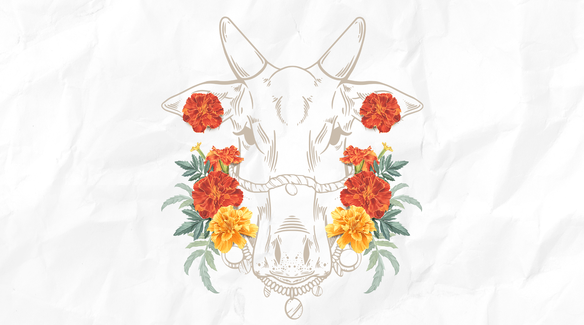 Marigold, watercolor flowers — Изображение №3 — Иллюстрация, Графика на Dprofile