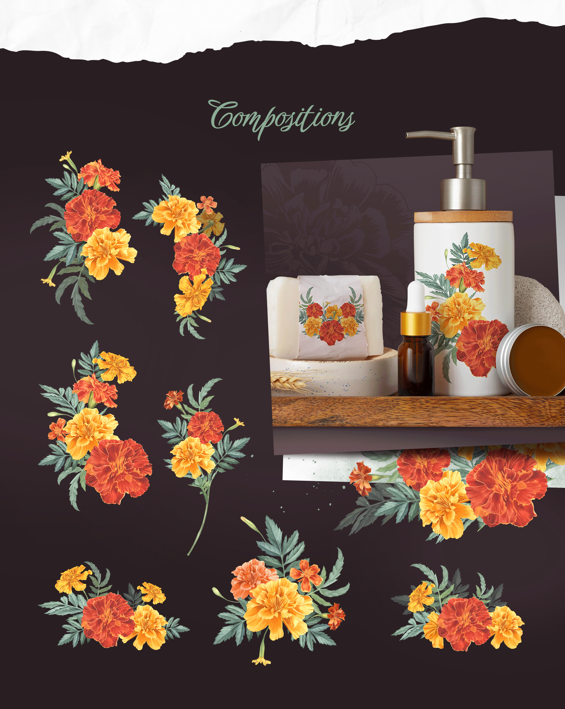 Marigold, watercolor flowers — Изображение №5 — Иллюстрация, Графика на Dprofile