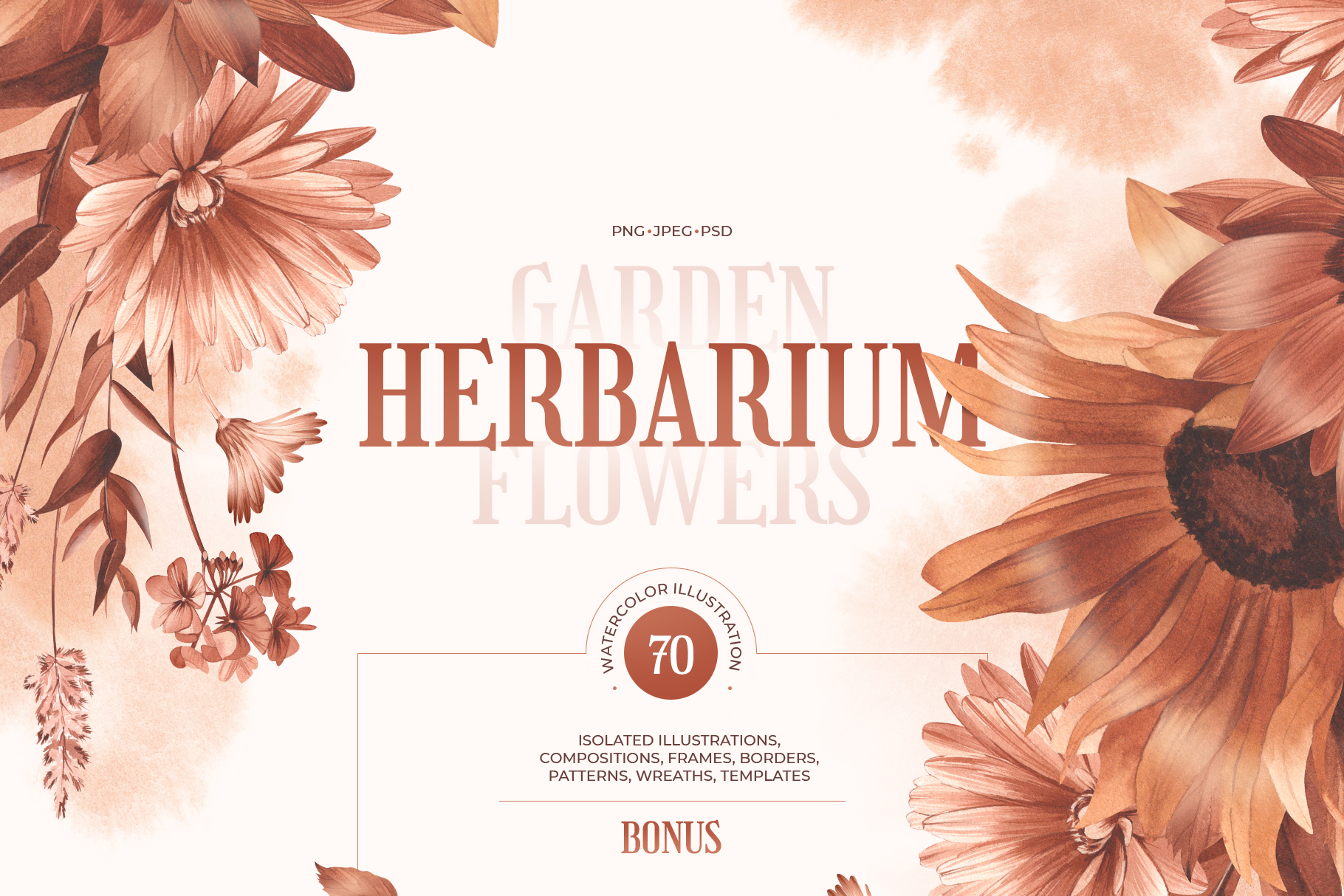 Garden flowers. Herbarium | Watercolor illustrations — Изображение №1 — Иллюстрация на Dprofile