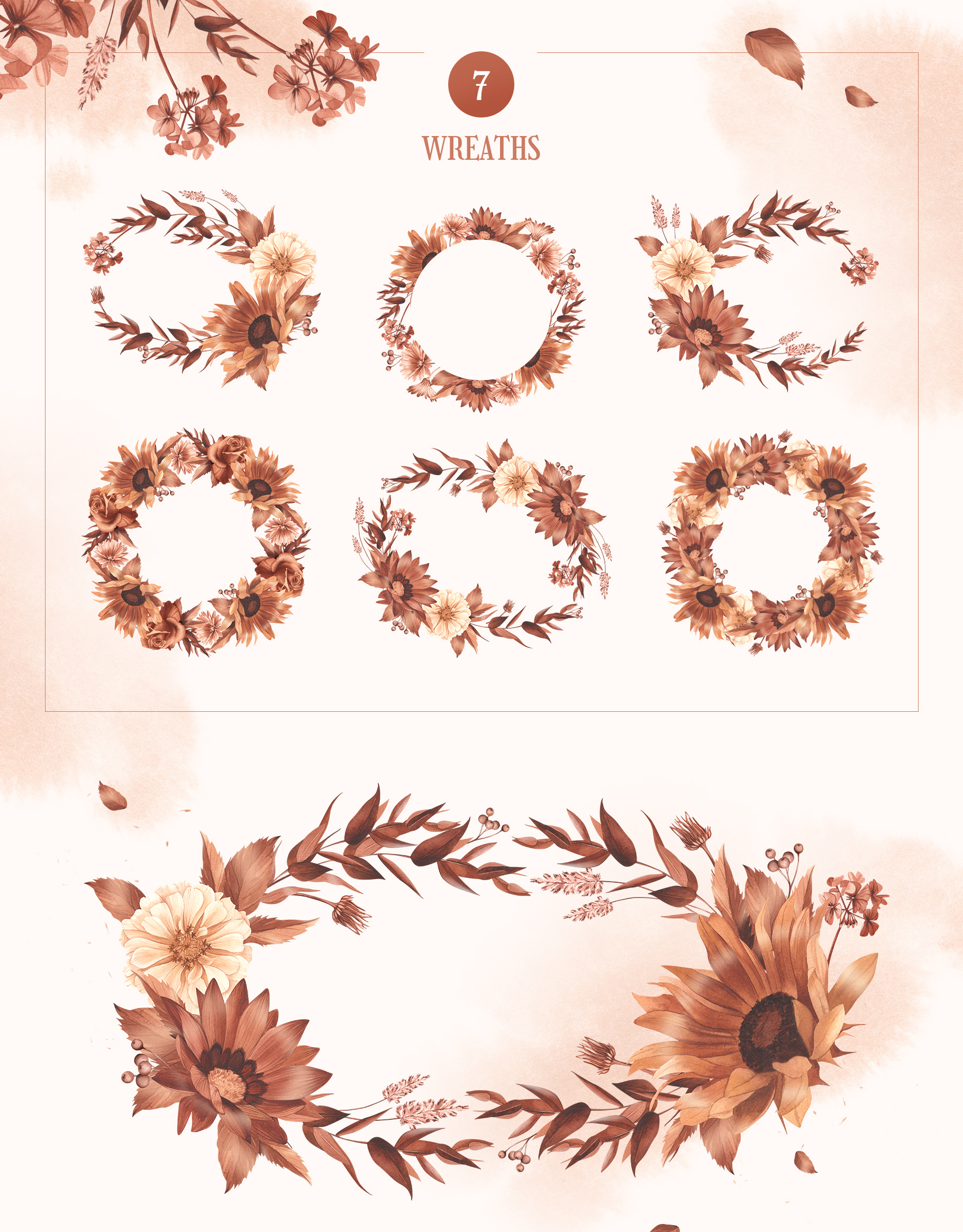 Garden flowers. Herbarium | Watercolor illustrations — Изображение №6 — Иллюстрация на Dprofile