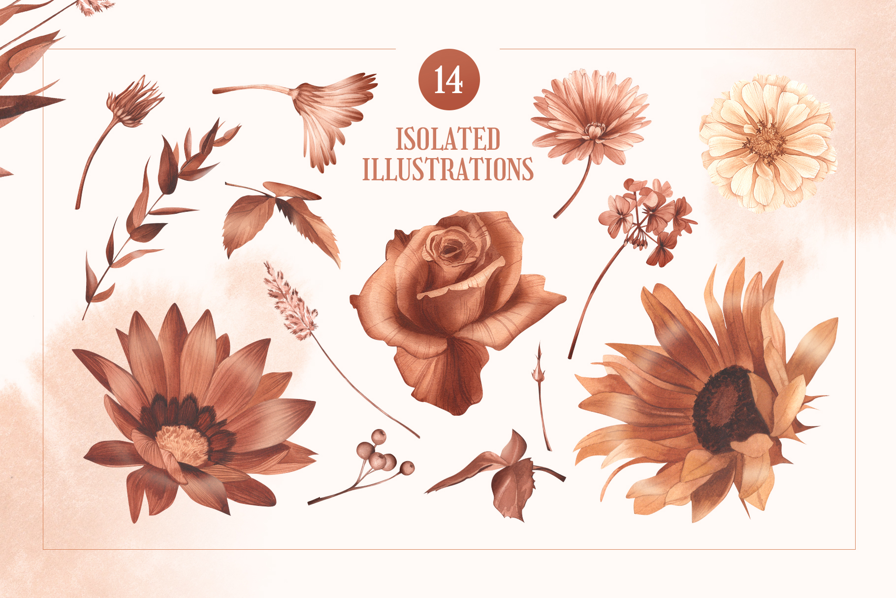 Garden flowers. Herbarium | Watercolor illustrations — Изображение №3 — Иллюстрация на Dprofile
