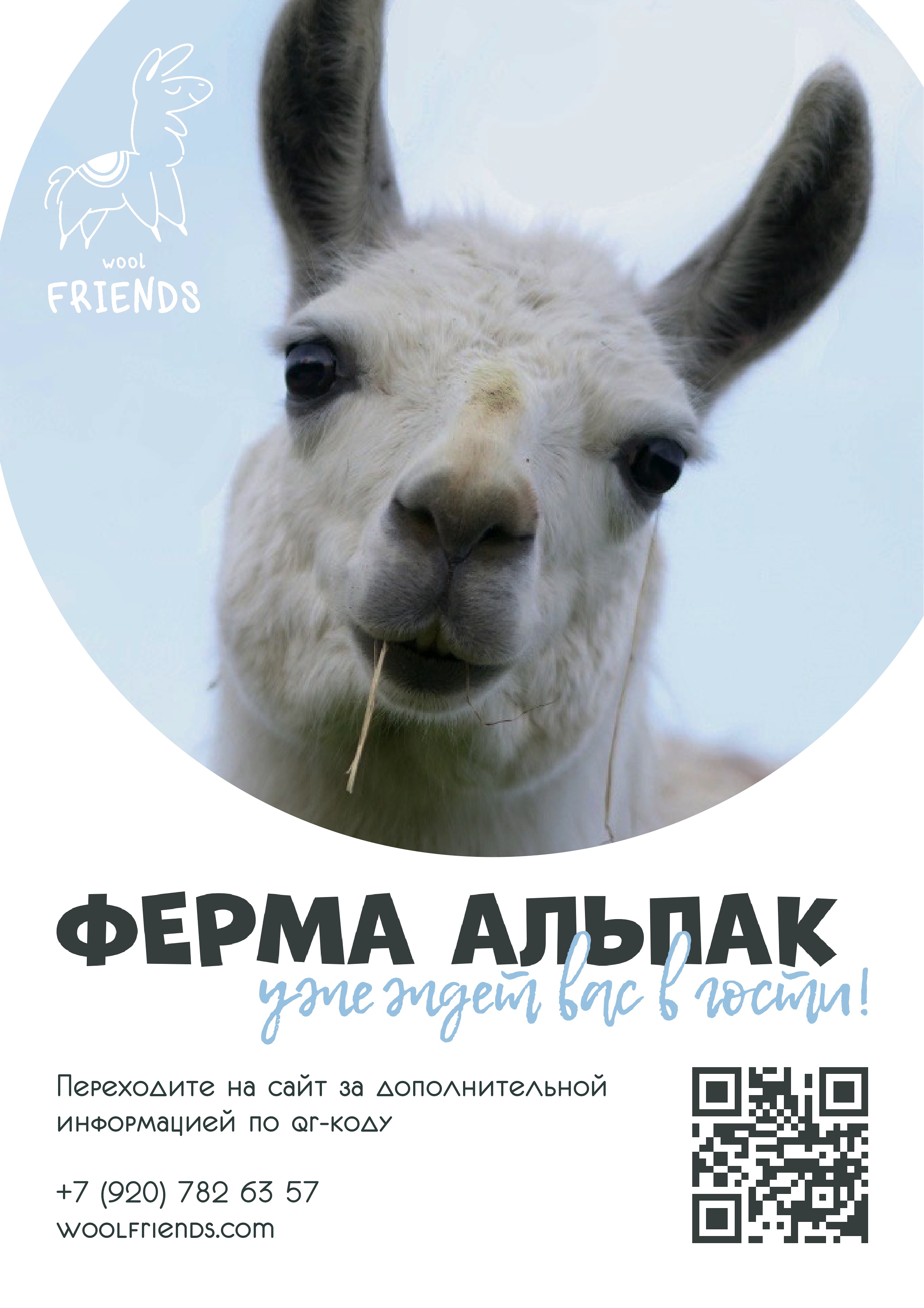 Wool Friends | разработка логотип для ферм альпак — Изображение №4 — Брендинг, Графика на Dprofile