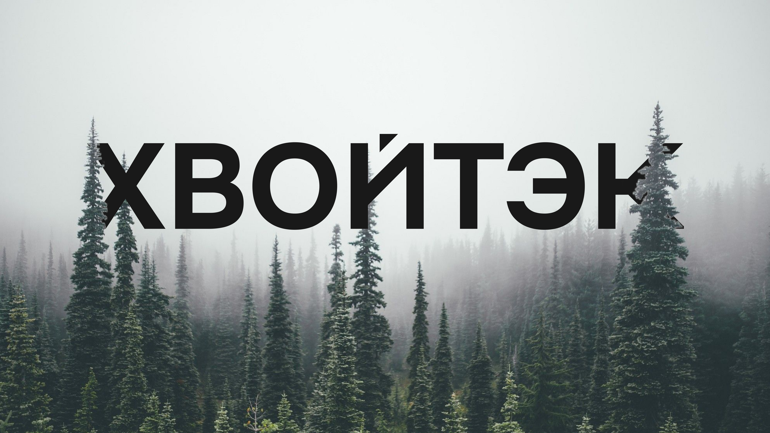 Брендинг компании "Хвойтэк" — Изображение №1 — Брендинг на Dprofile