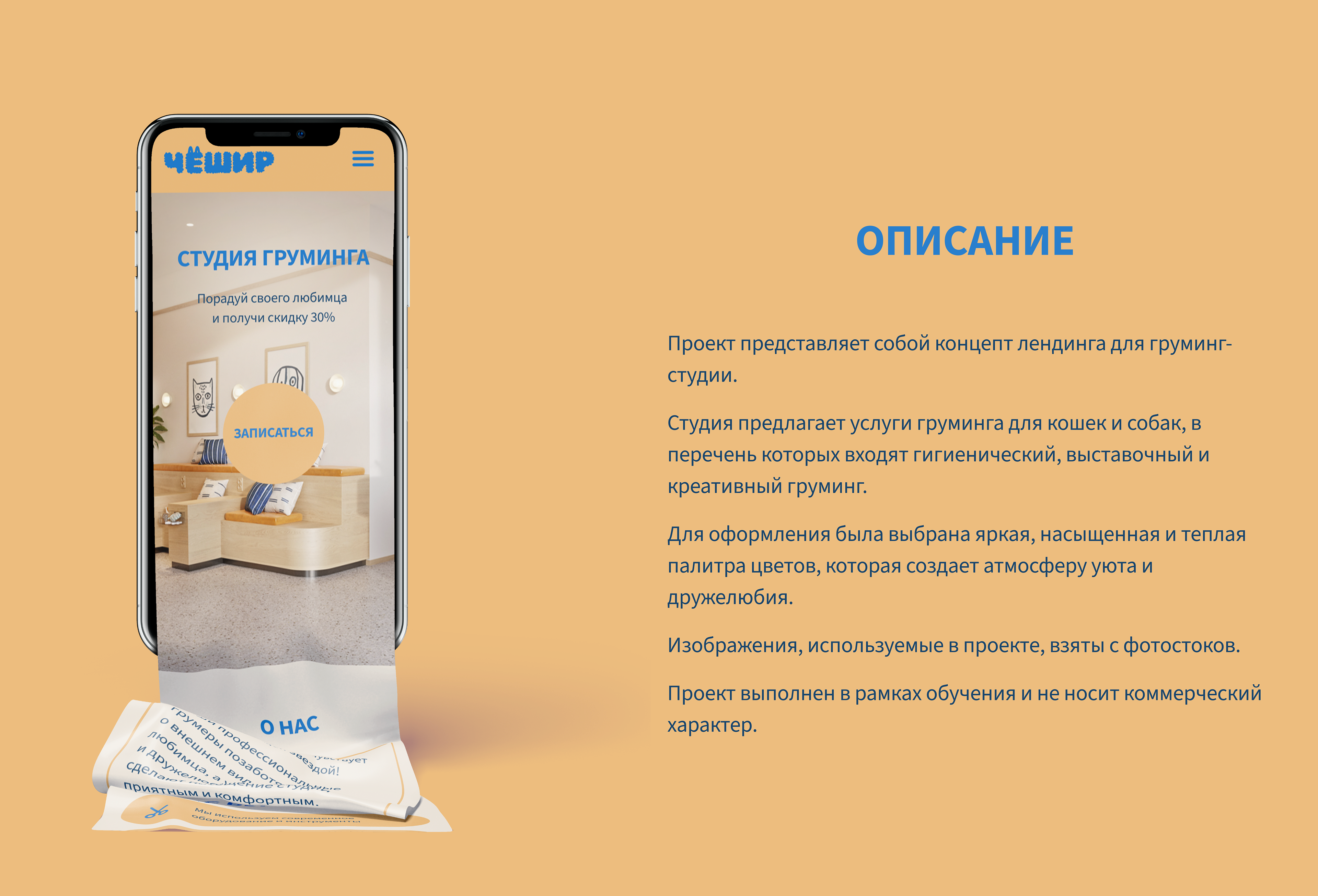 Концепт лендинга для груминг студии — Изображение №2 — Интерфейсы на Dprofile