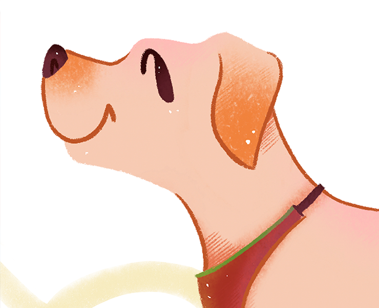 Иллюстрации приюту для собак / Dog illustrations — Иллюстрация на Dprofile