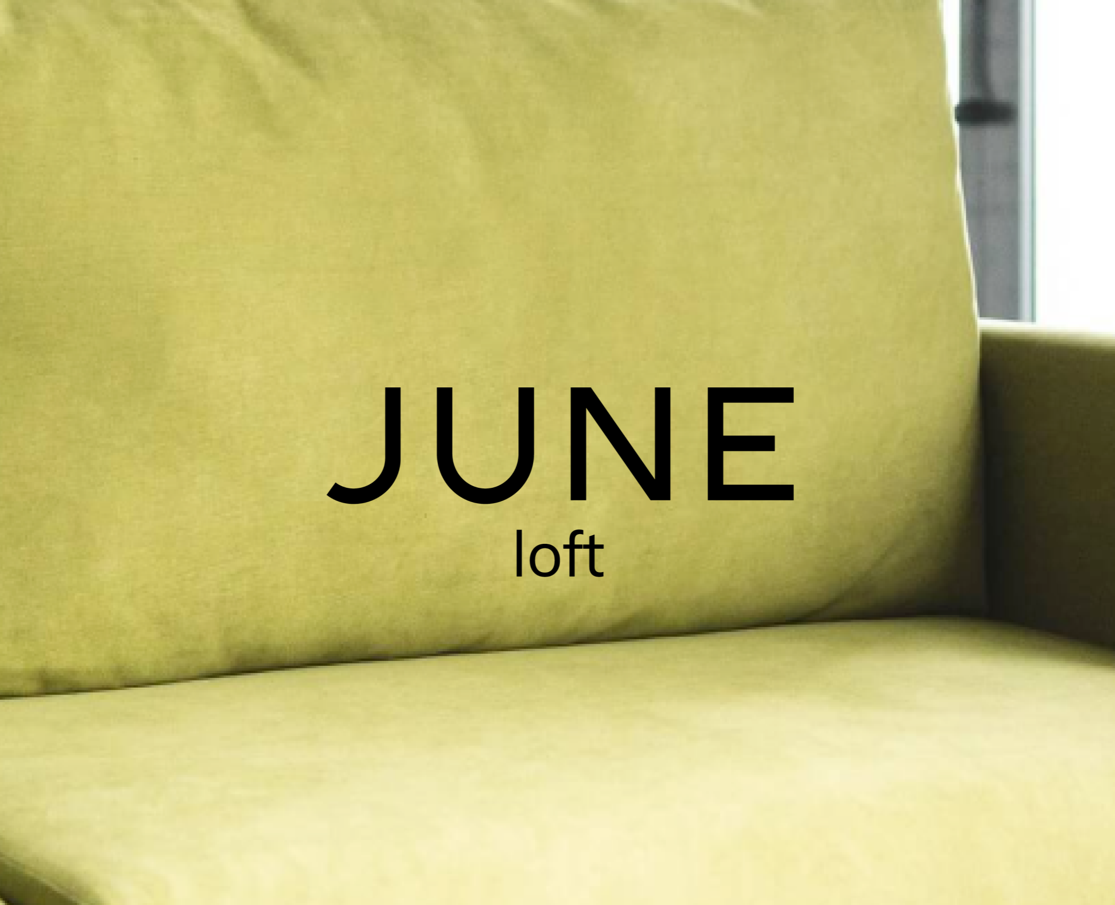 Айдентика и вебсайт для June loft — Брендинг на Dprofile