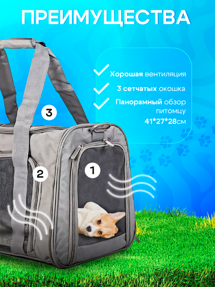 инфографика для маркетплейсов: переноска — Изображение №3 — Графика, Маркетинг на Dprofile