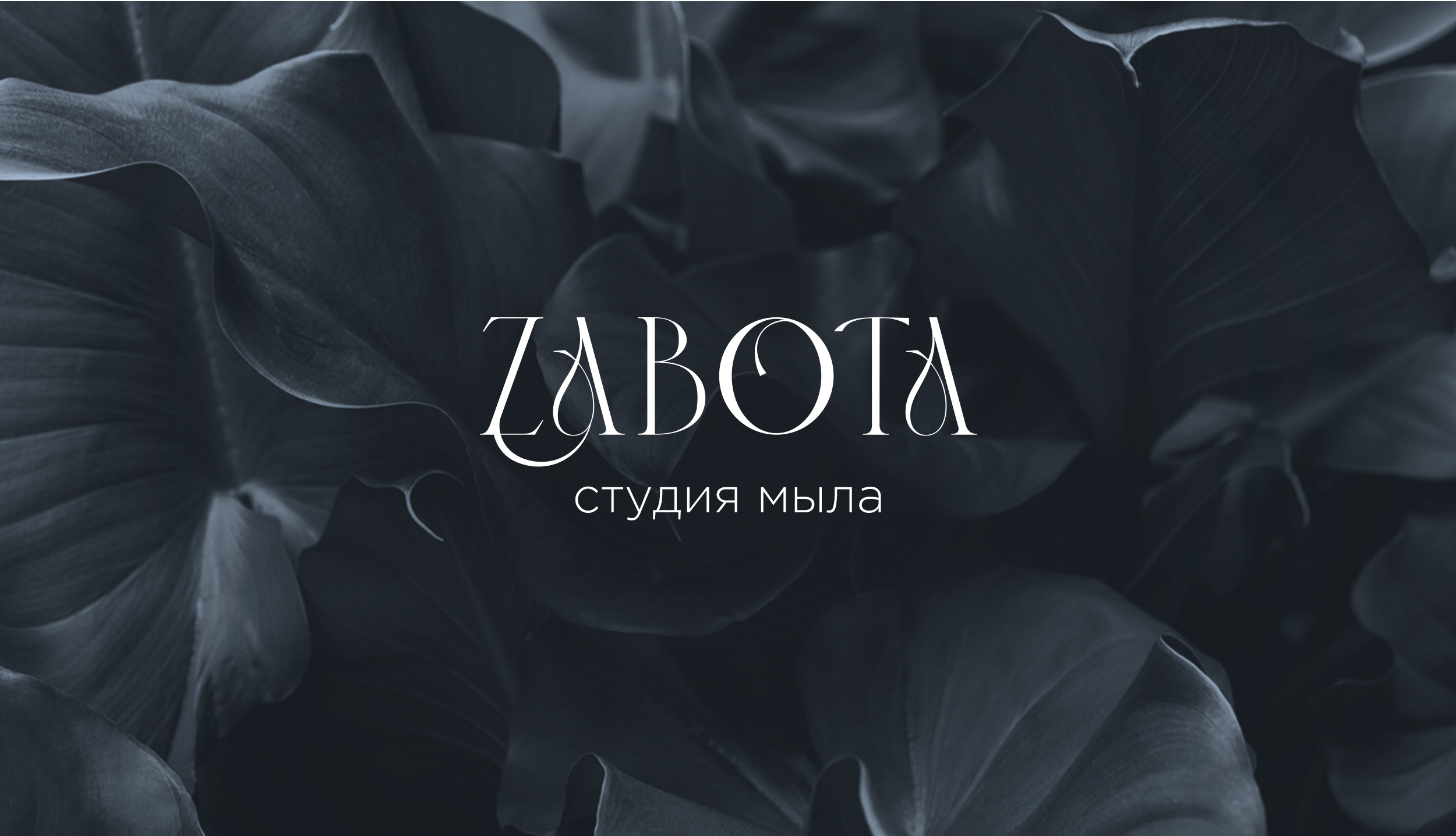 Логотип и фирменный стиль для бренда мыла — Изображение №1 — Брендинг на Dprofile
