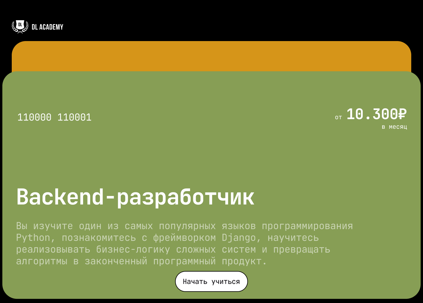 DL Academy — Изображение №4 — Интерфейсы, Брендинг на Dprofile
