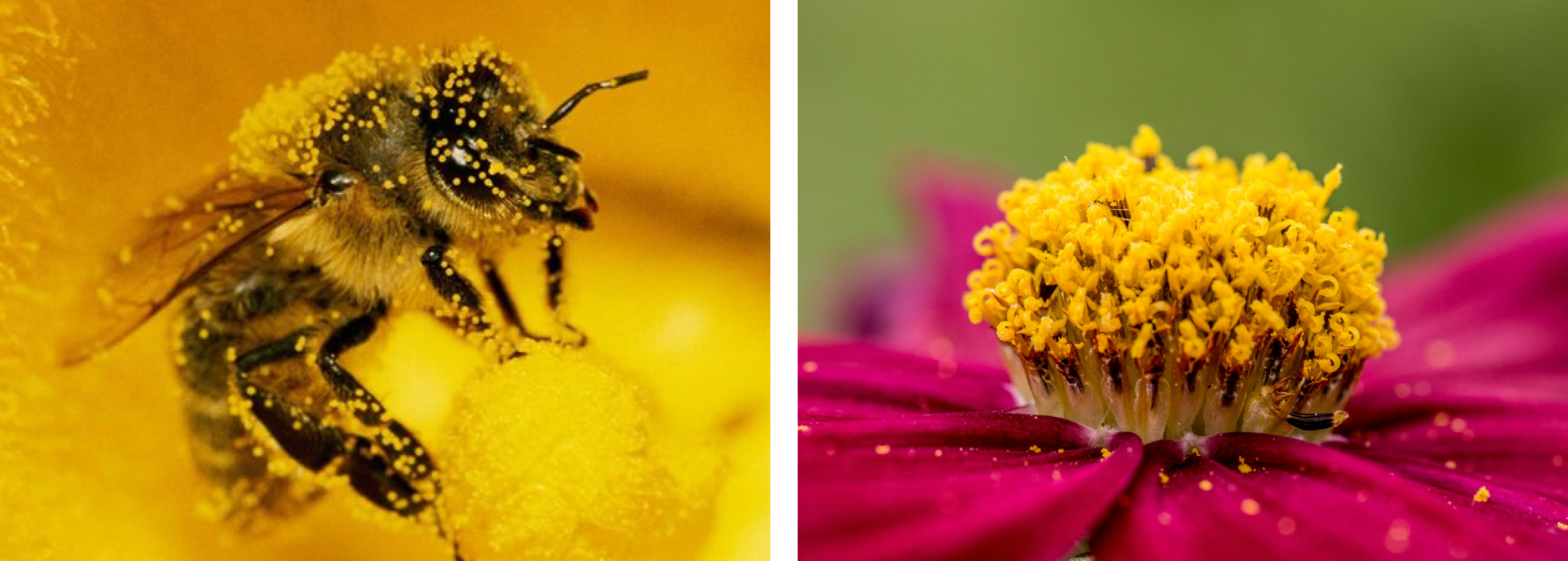 Упаковка мёда beeoff — Изображение №2 — Брендинг на Dprofile