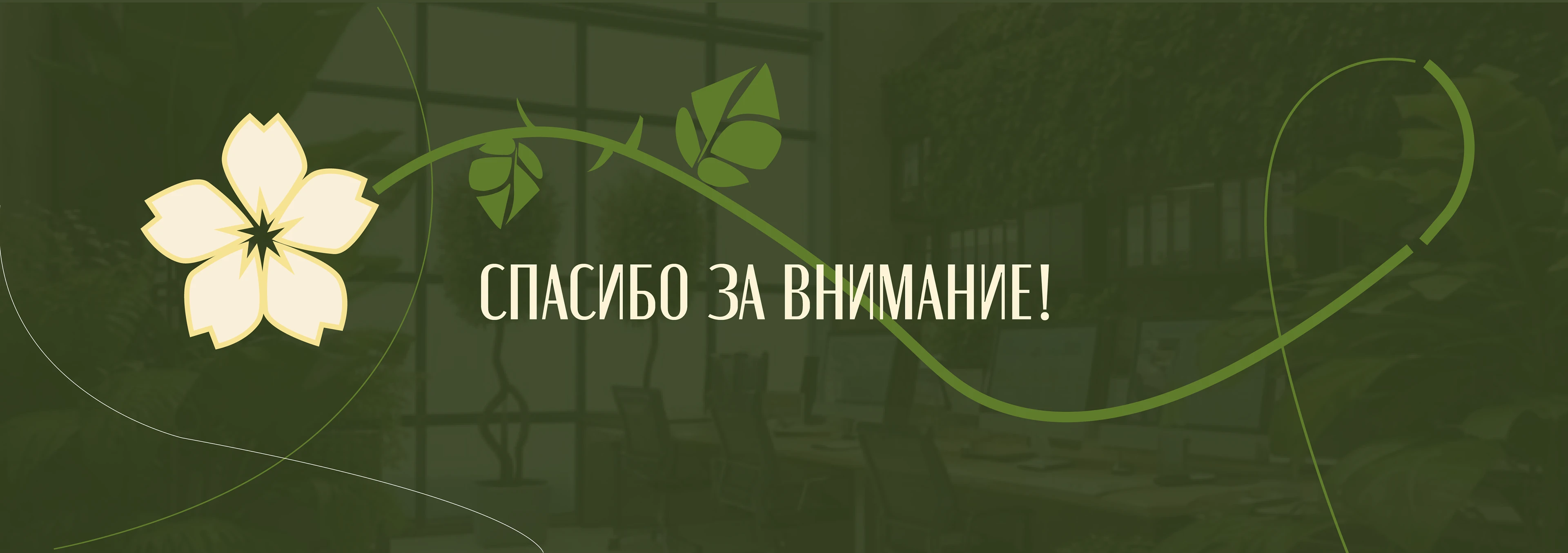 Zeleno - сервис по подбору растений для офиса — Изображение №9 — Брендинг на Dprofile