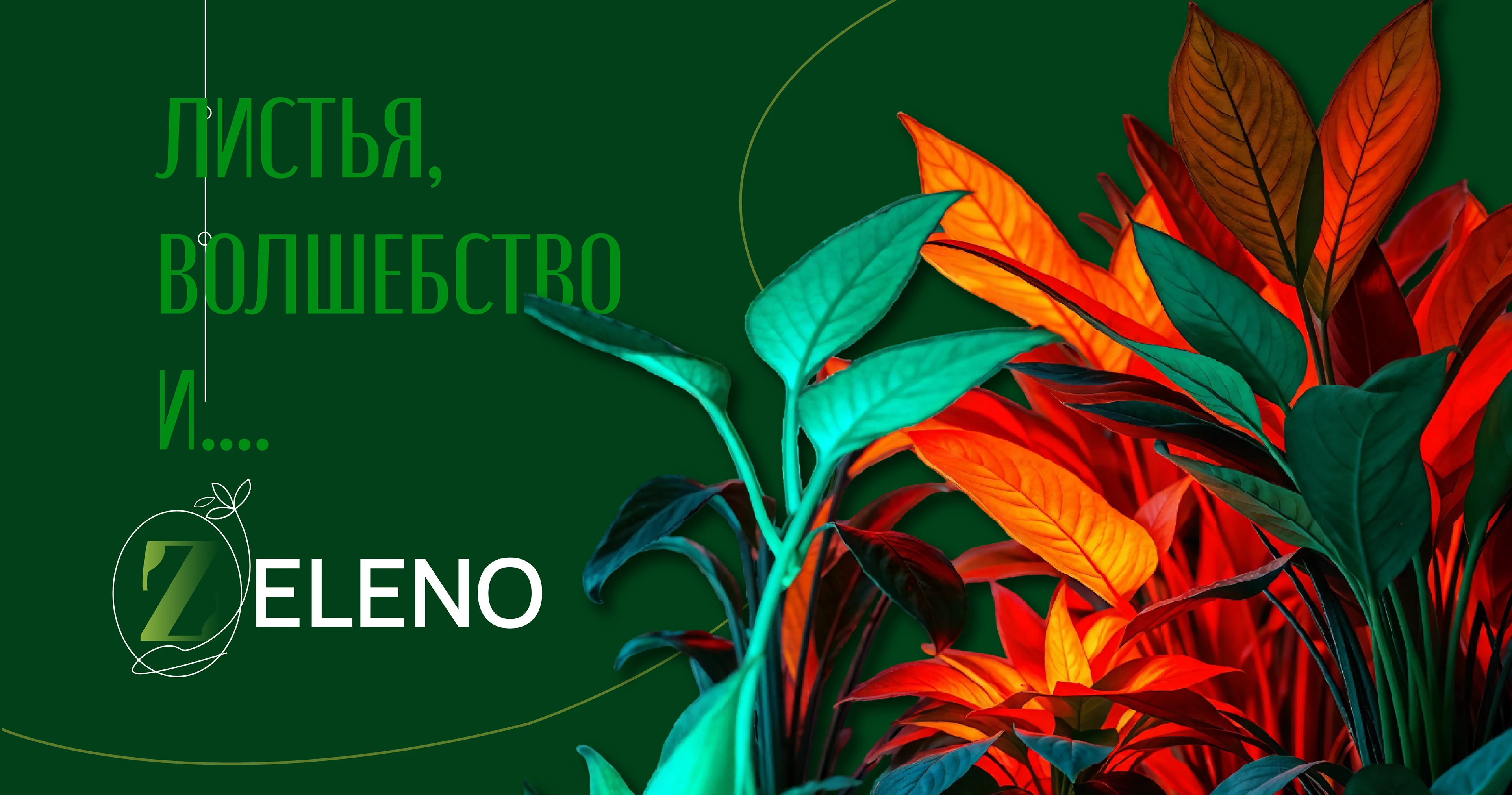Zeleno - сервис по подбору растений для офиса — Изображение №8 — Брендинг на Dprofile