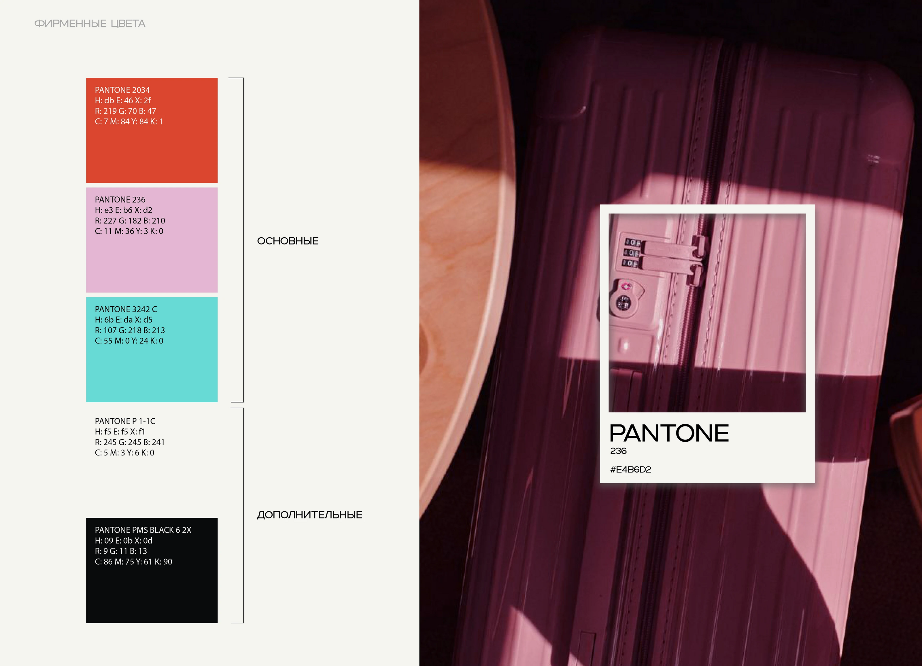 Брендинг и логотип чемоданов / Suitcase branding — Изображение №4 — Брендинг, Графика на Dprofile