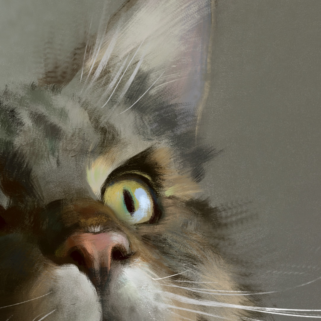 Кот по имени Бубочка — Изображение №2 — Иллюстрация на Dprofile