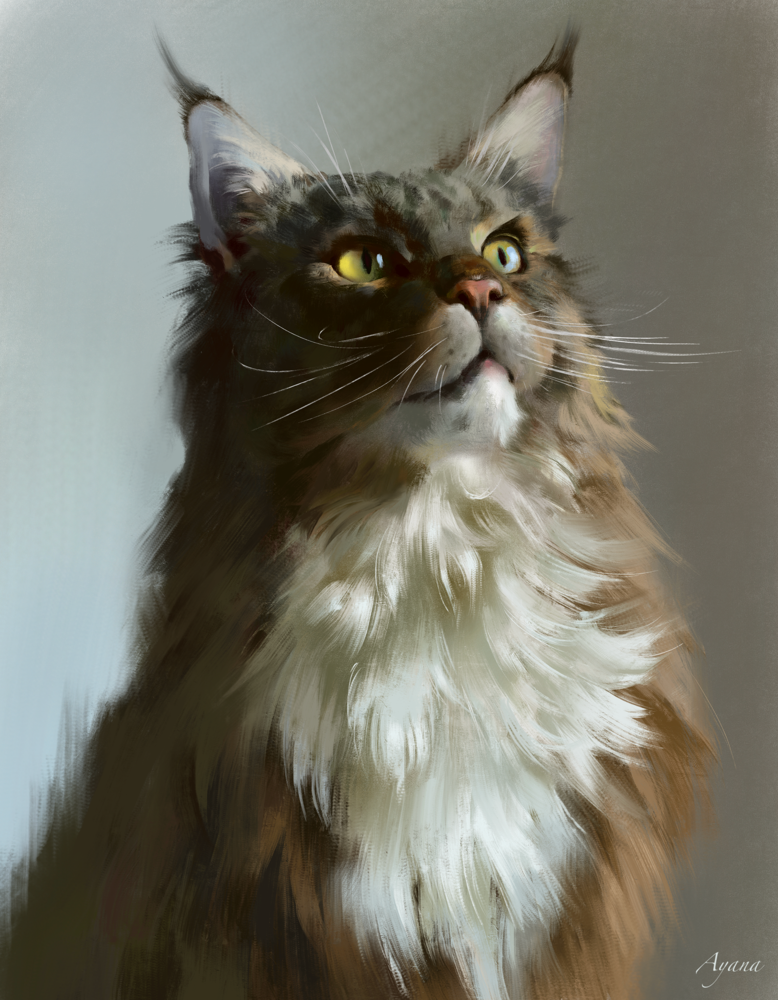 Кот по имени Бубочка — Изображение №1 — Иллюстрация на Dprofile