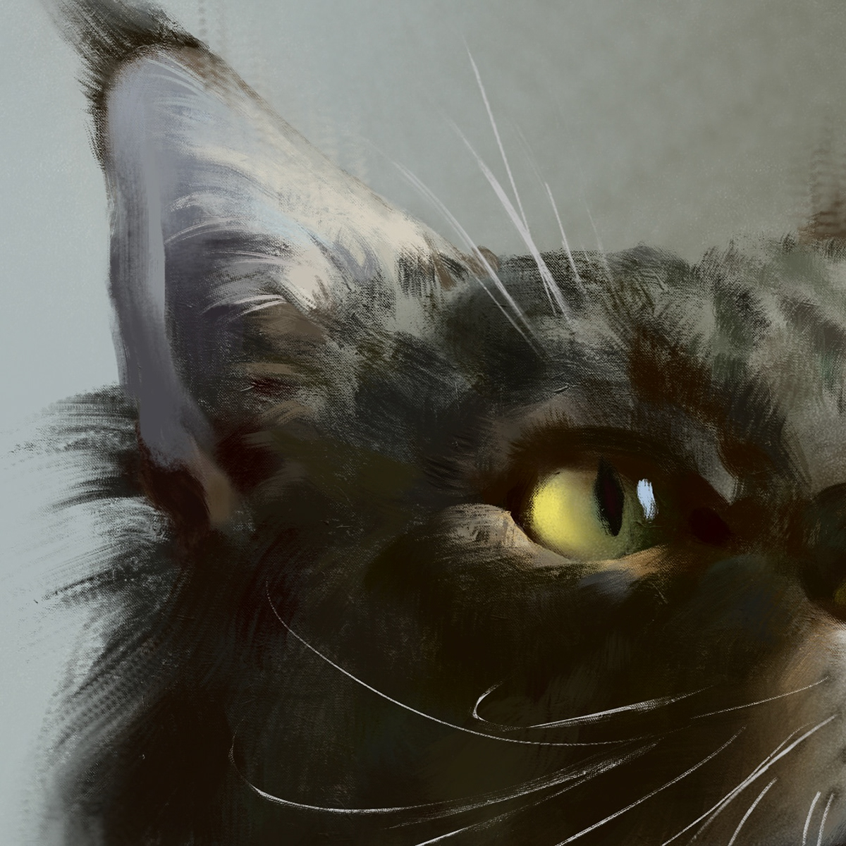 Кот по имени Бубочка — Изображение №3 — Иллюстрация на Dprofile