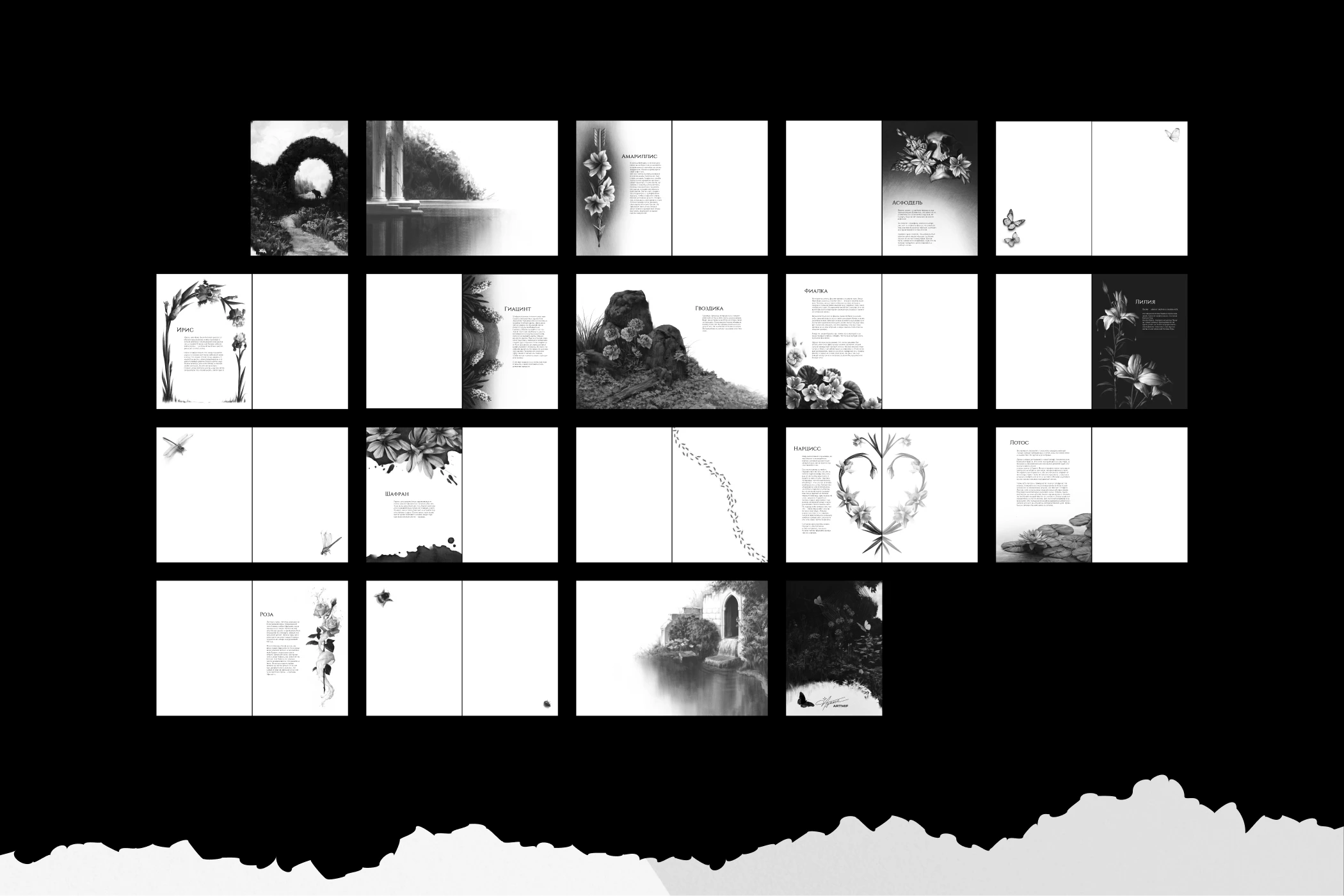 Flowers of Greece | SKETCHBOOK — Изображение №6 — Иллюстрация, Графика на Dprofile