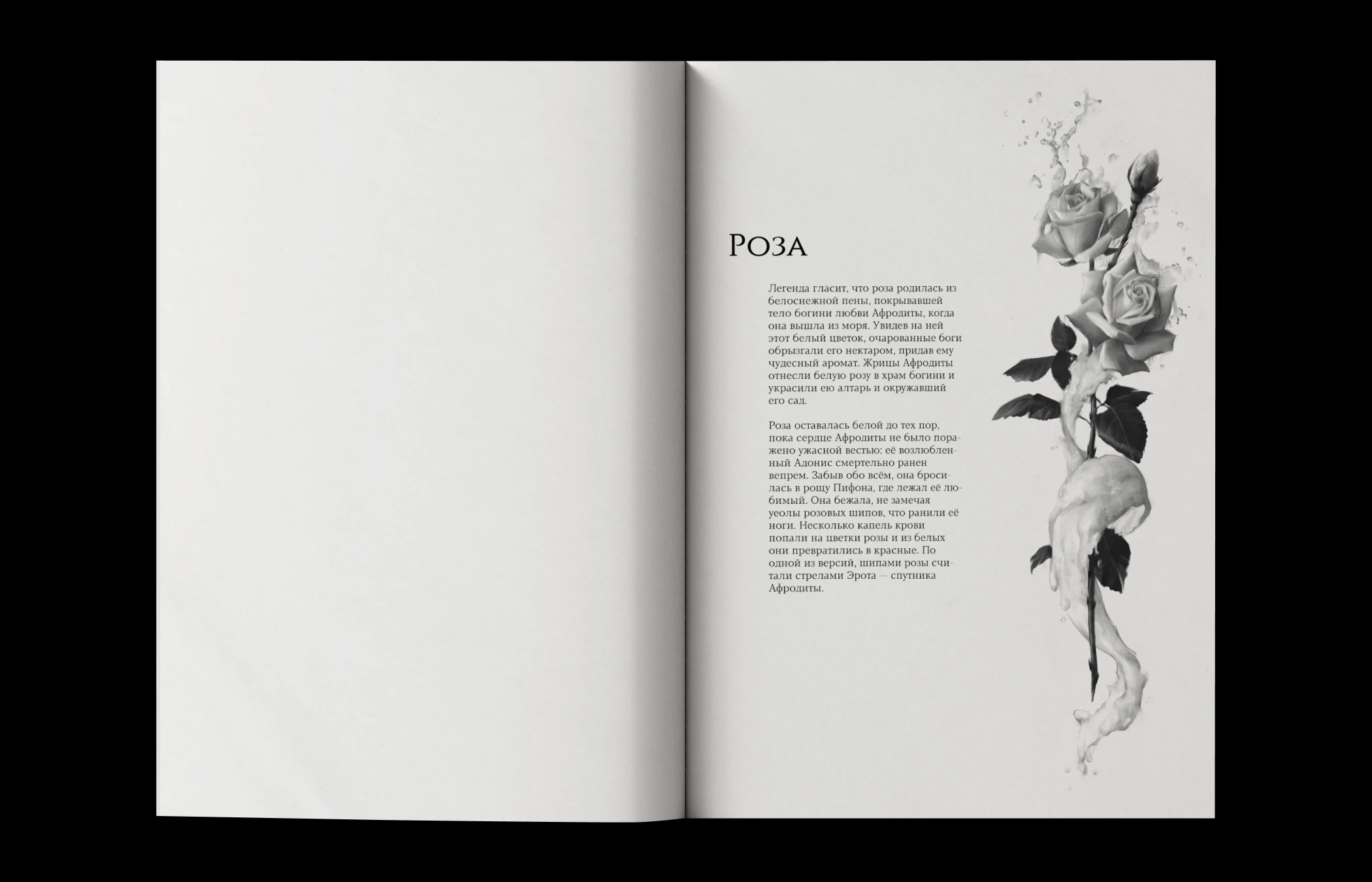 Flowers of Greece | SKETCHBOOK — Изображение №14 — Иллюстрация, Графика на Dprofile