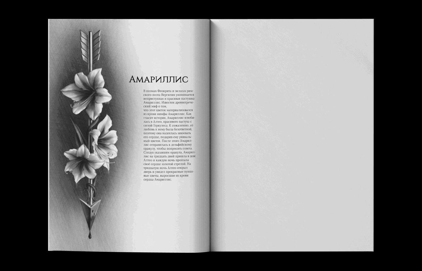 Flowers of Greece | SKETCHBOOK — Изображение №5 — Иллюстрация, Графика на Dprofile