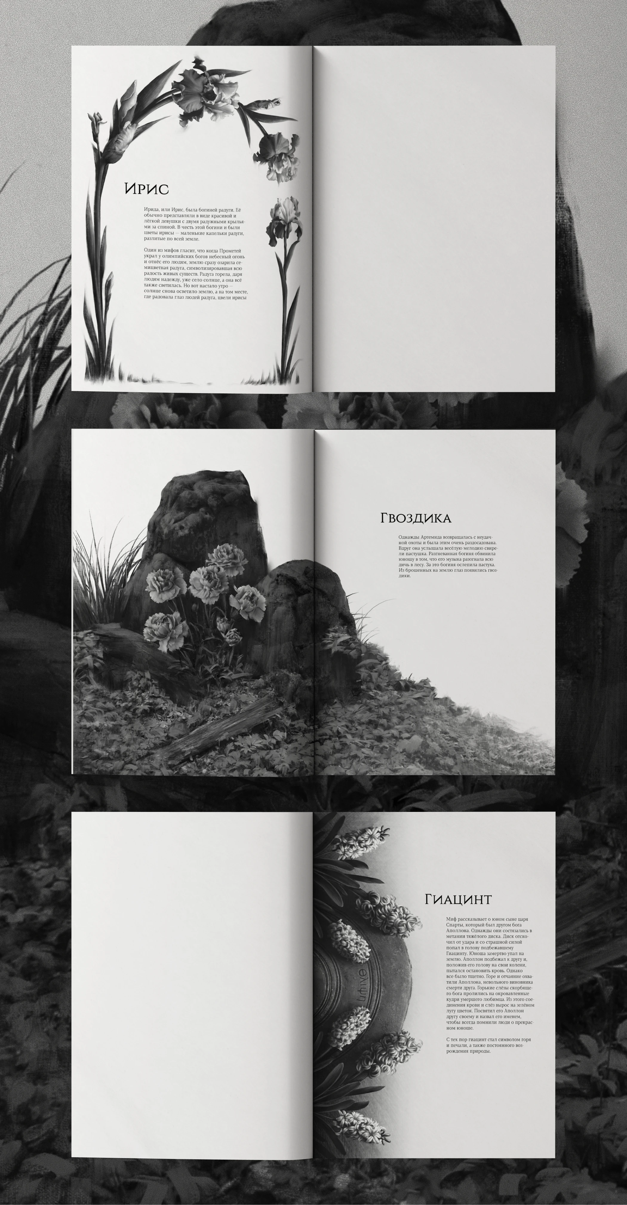 Flowers of Greece | SKETCHBOOK — Изображение №10 — Иллюстрация, Графика на Dprofile