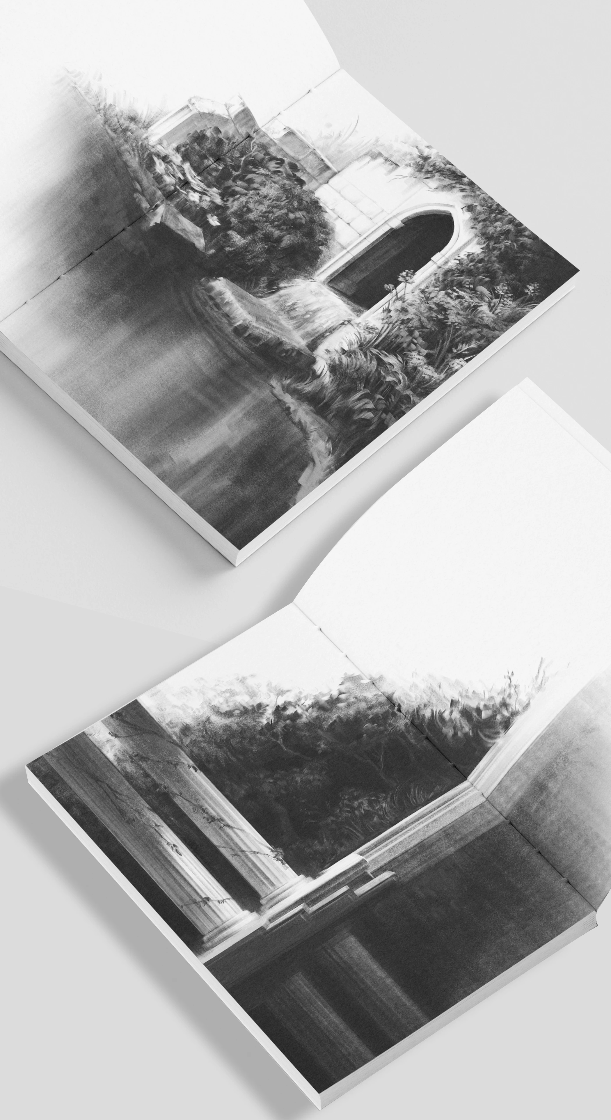 Flowers of Greece | SKETCHBOOK — Изображение №7 — Иллюстрация, Графика на Dprofile