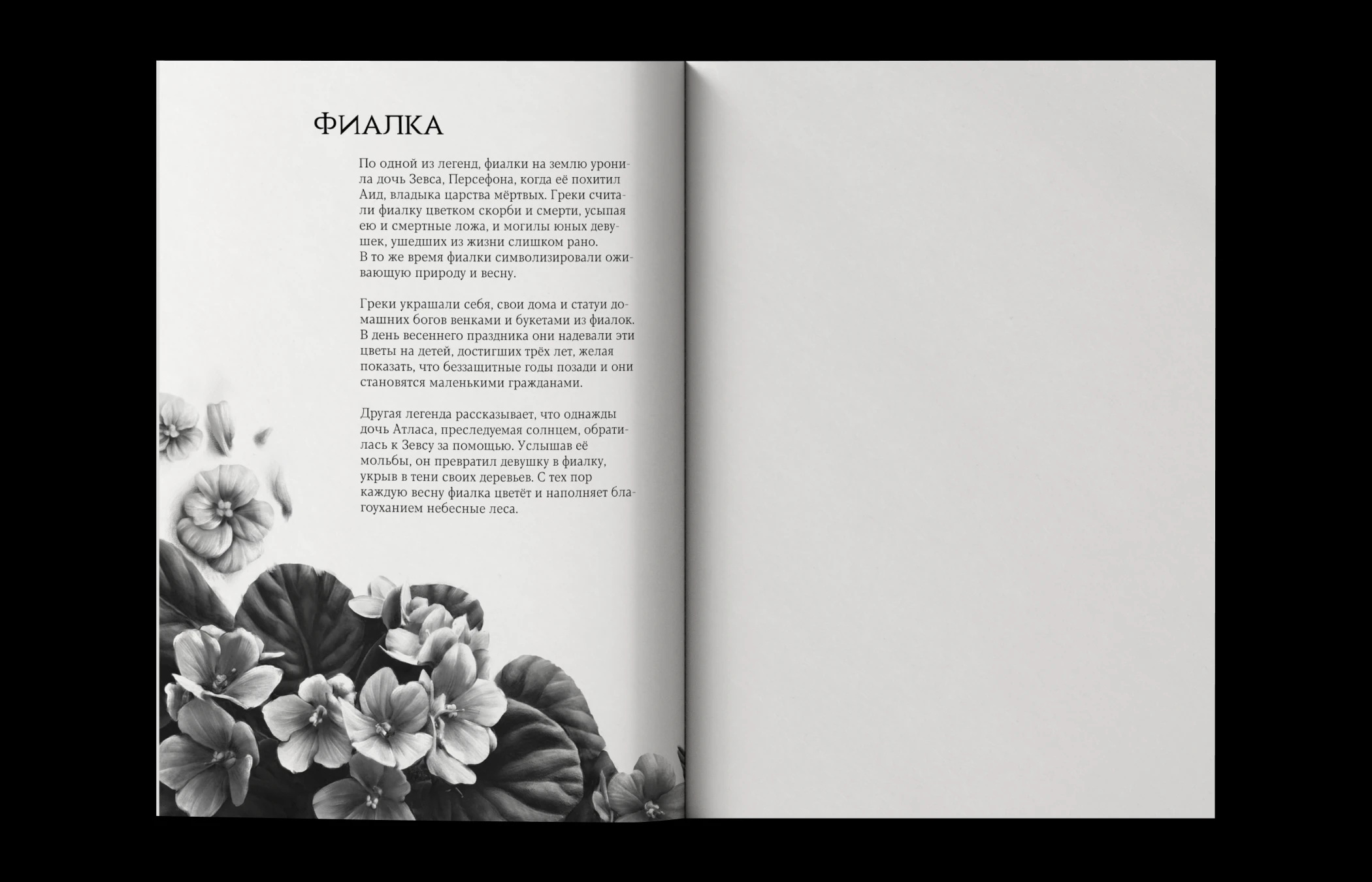 Flowers of Greece | SKETCHBOOK — Изображение №11 — Иллюстрация, Графика на Dprofile