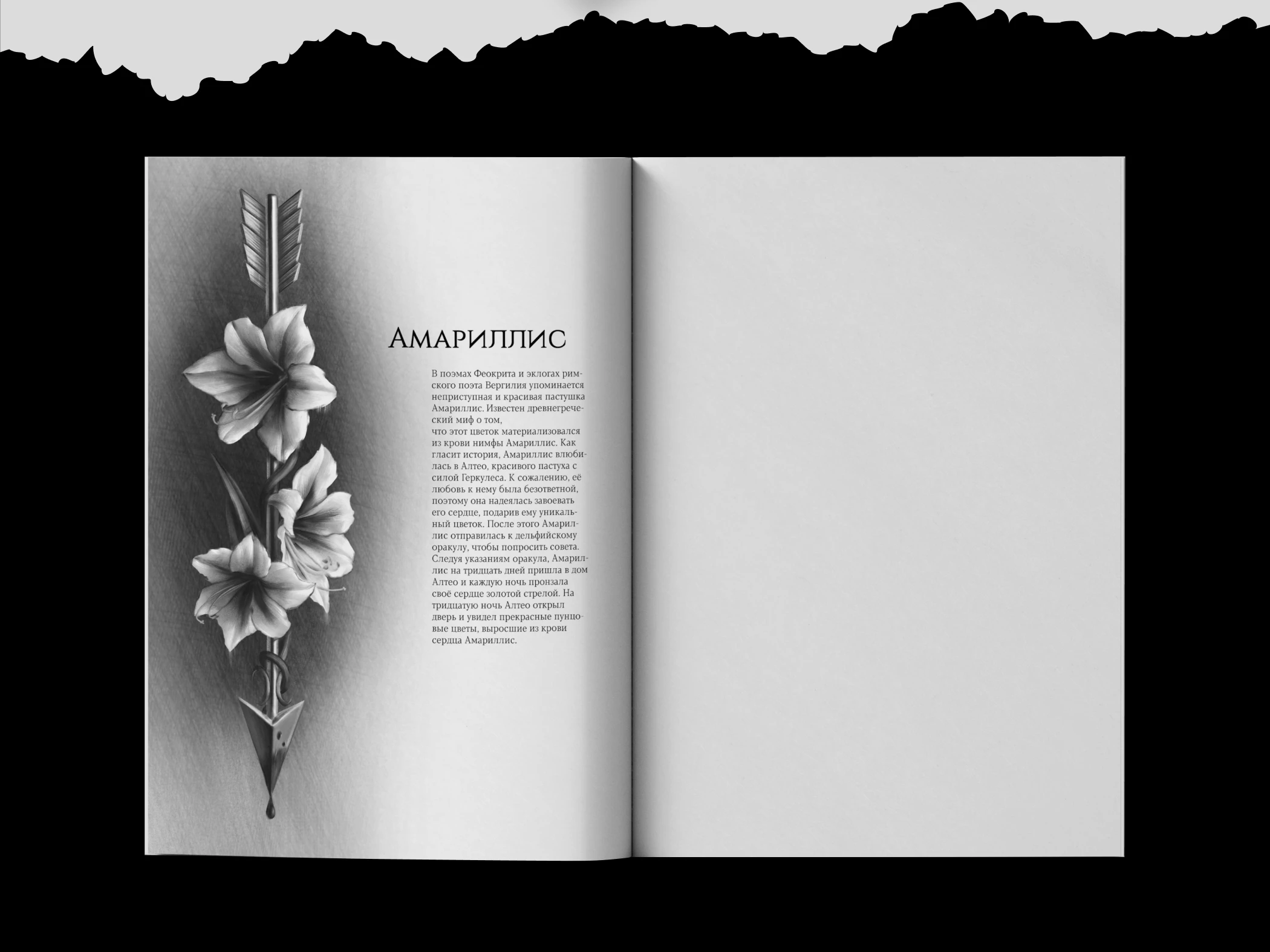 Flowers of Greece | SKETCHBOOK — Изображение №8 — Иллюстрация, Графика на Dprofile