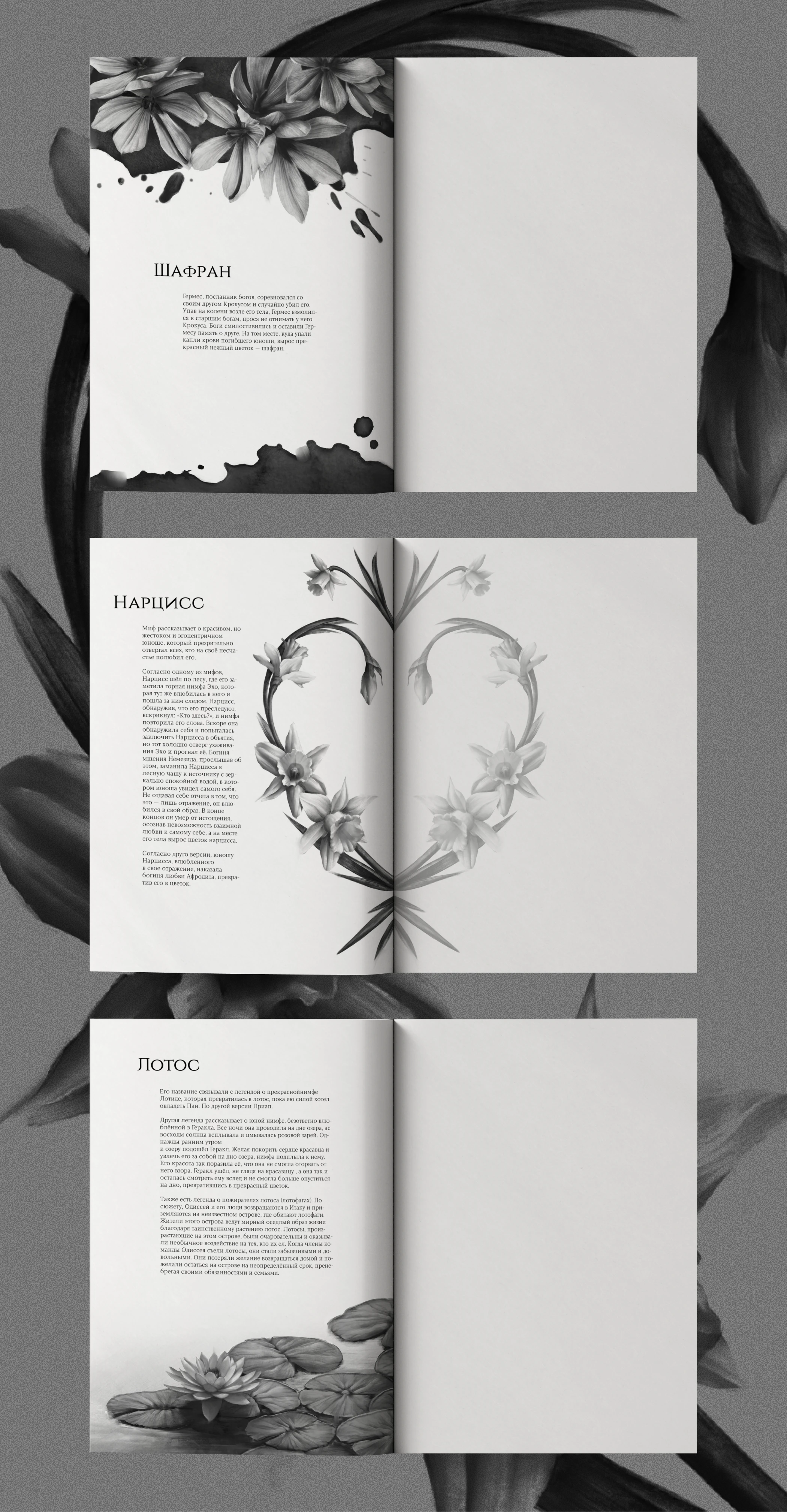 Flowers of Greece | SKETCHBOOK — Изображение №13 — Иллюстрация, Графика на Dprofile