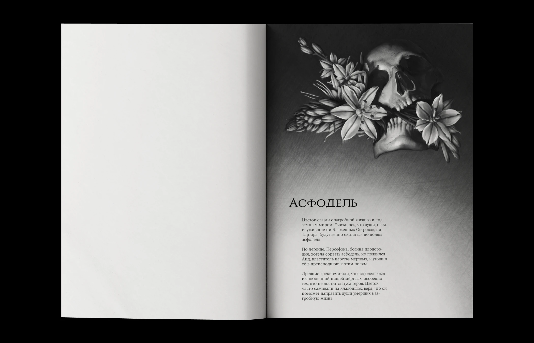 Flowers of Greece | SKETCHBOOK — Изображение №9 — Иллюстрация, Графика на Dprofile