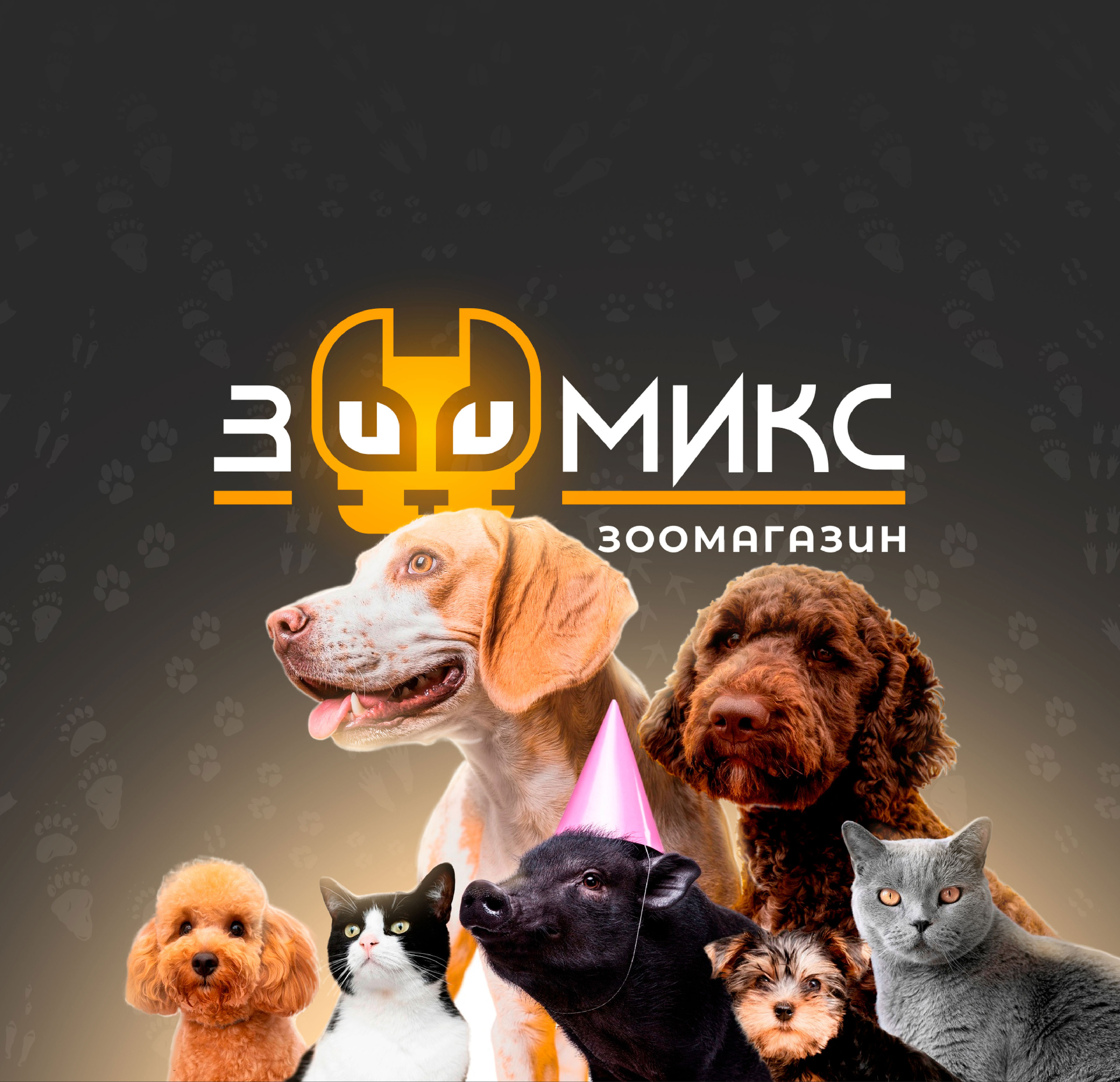 Зоомикс — Изображение №1 — Брендинг, Графика на Dprofile
