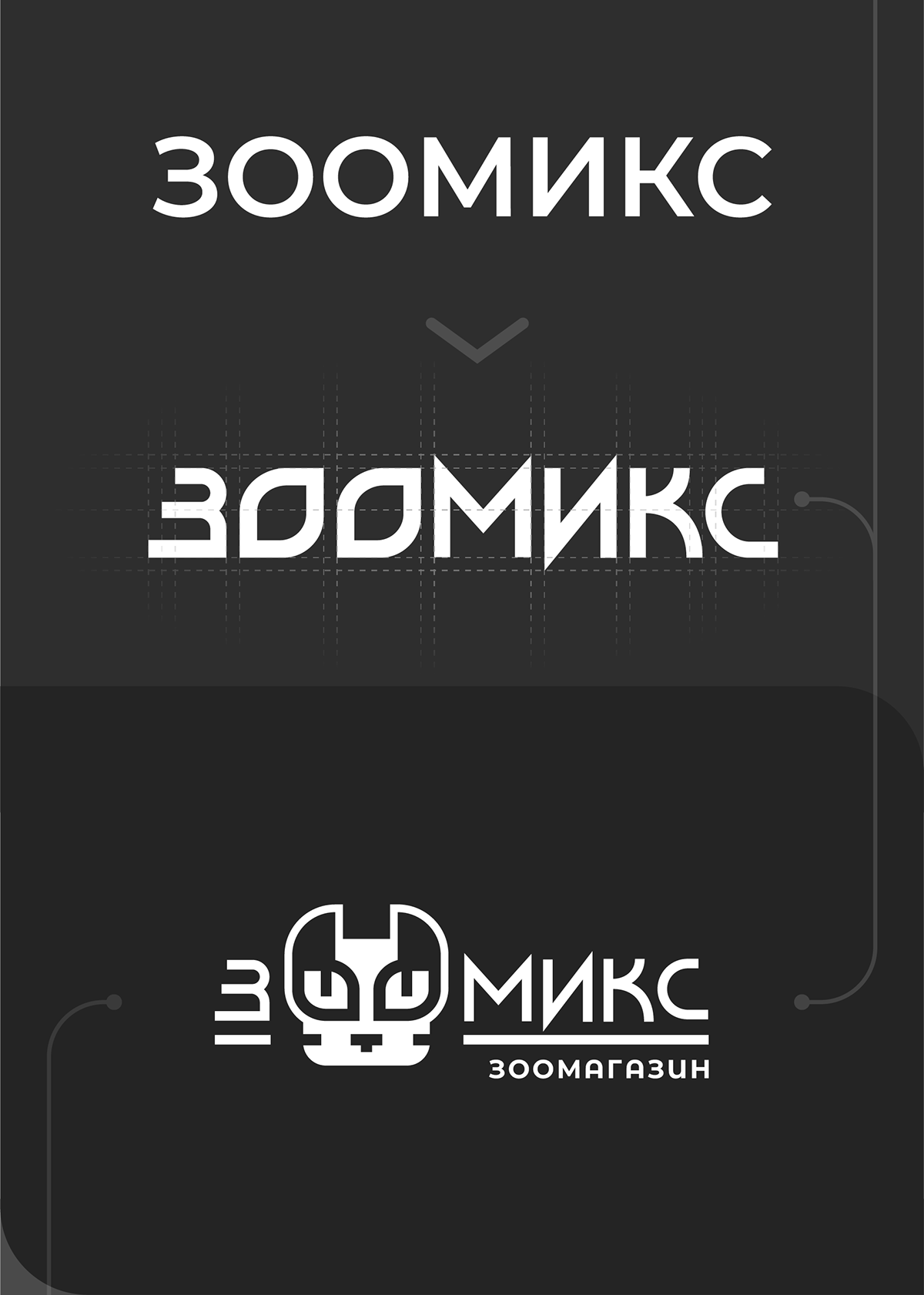 Зоомикс — Изображение №5 — Брендинг, Графика на Dprofile