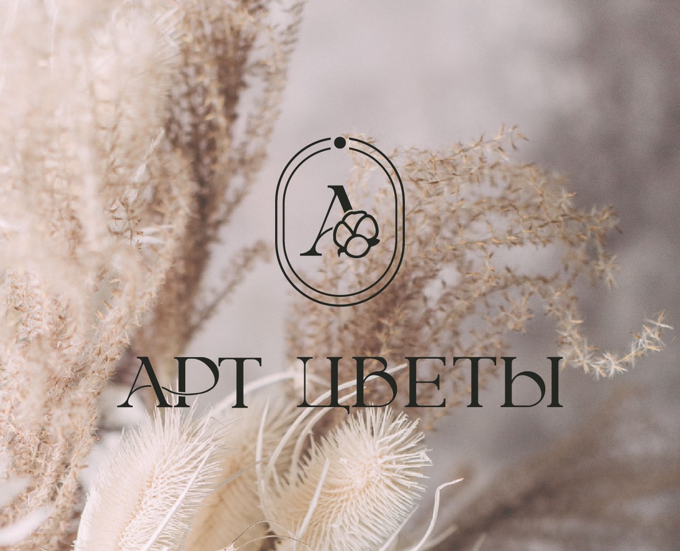 Логотип и упаковка — Брендинг на Dprofile