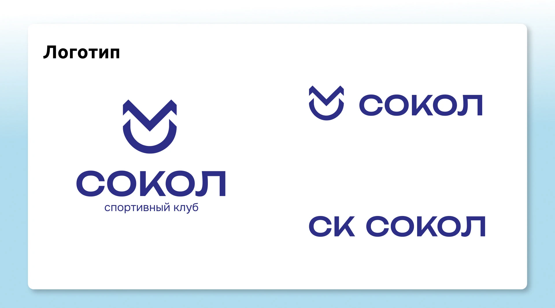 Лендинг для спортивного клуба "Сокол" — Изображение №3 — Брендинг на Dprofile