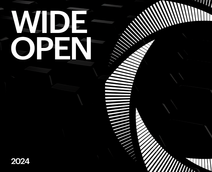 WIDE OPEN — Брендинг на Dprofile